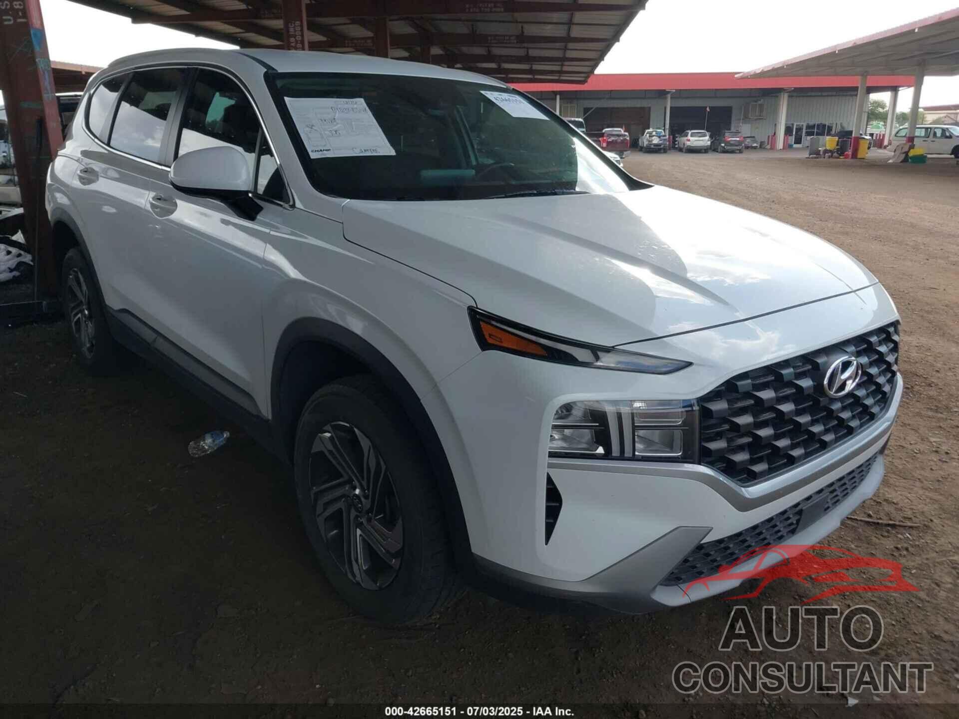 HYUNDAI SANTA FE 2023 - 5NMS1DAJ5PH488151