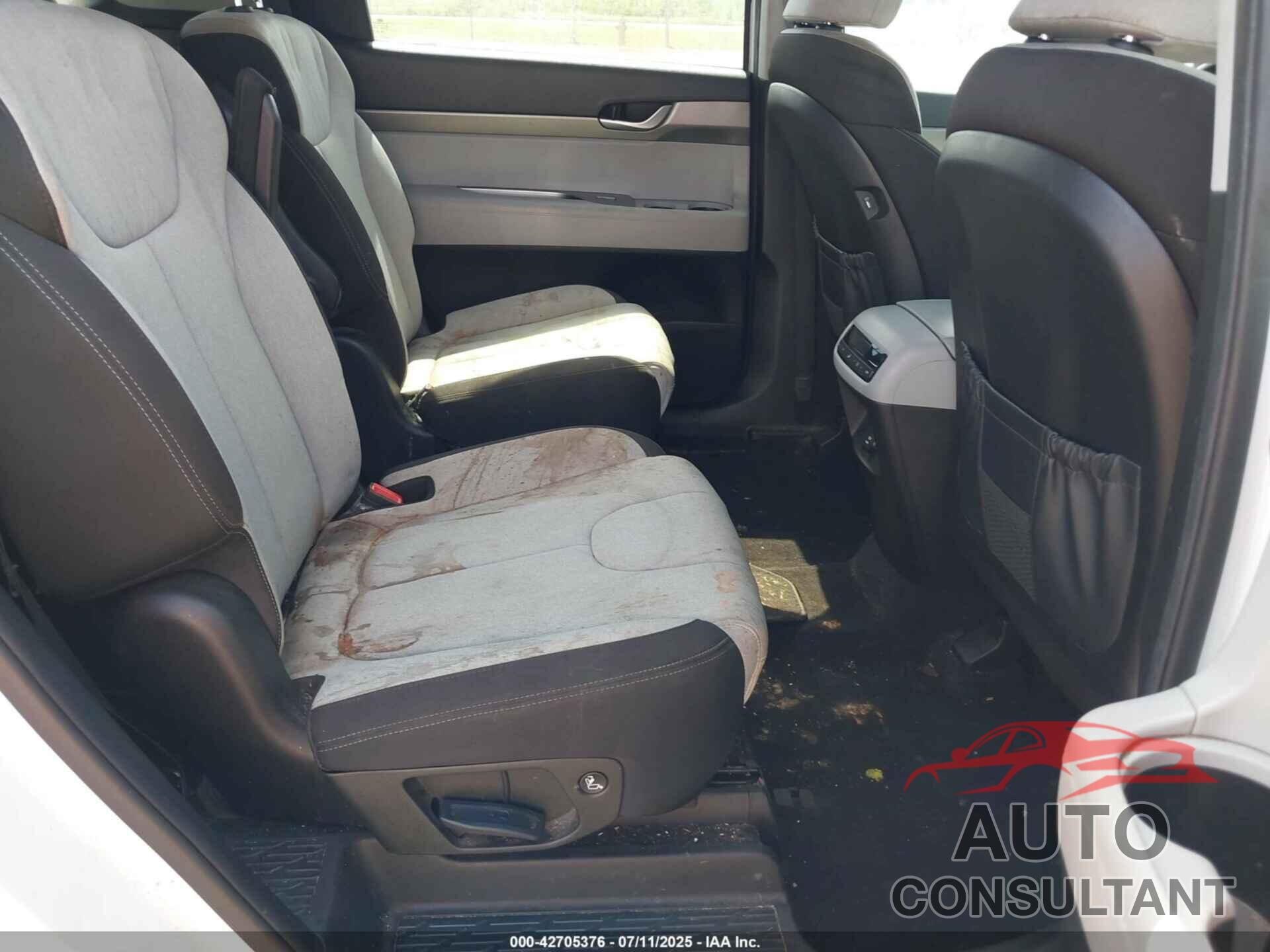 HYUNDAI PALISADE 2020 - KM8R24HE5LU143625