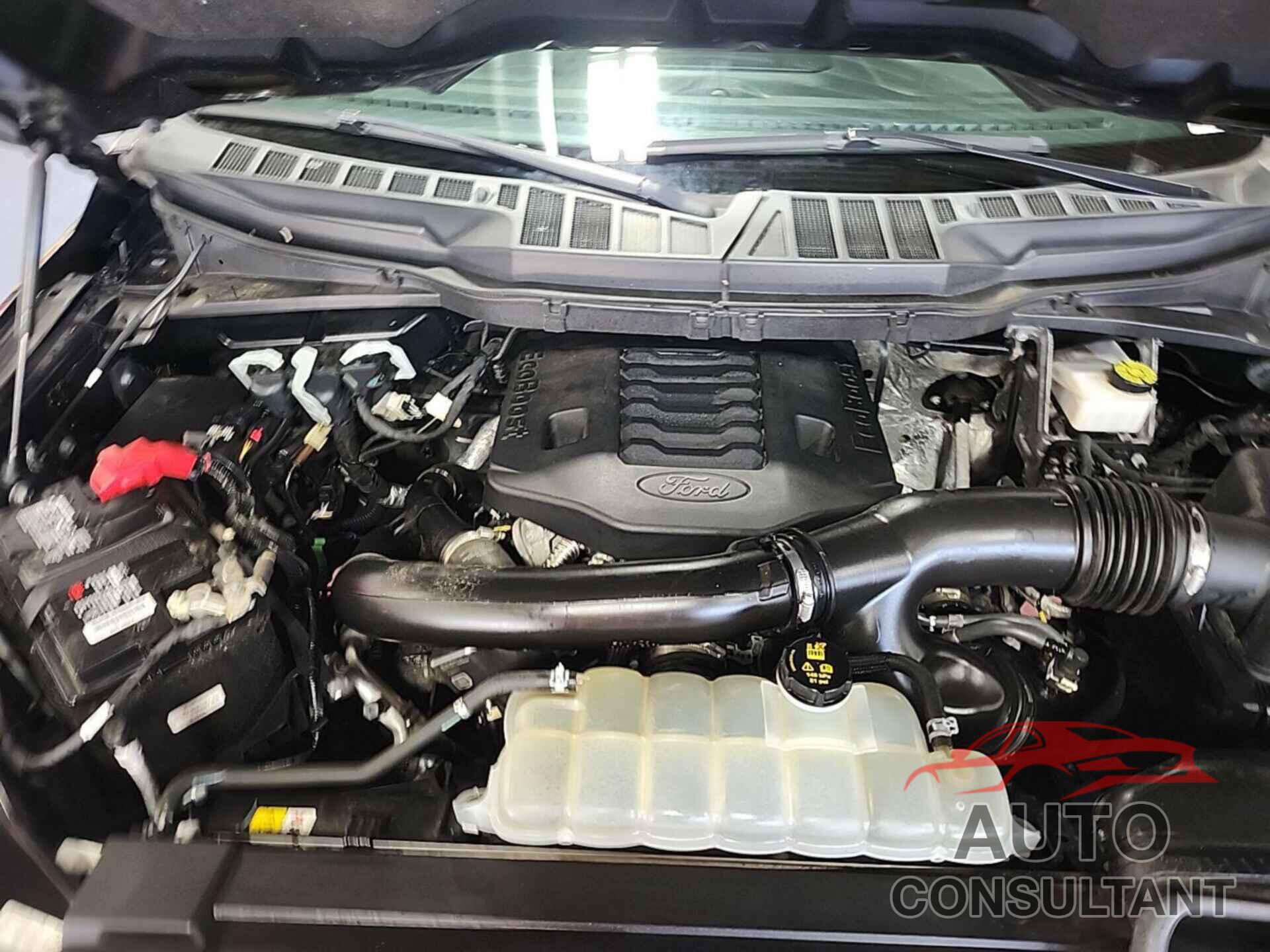 FORD F-150 2021 - 1FTFW1E82MKE08149