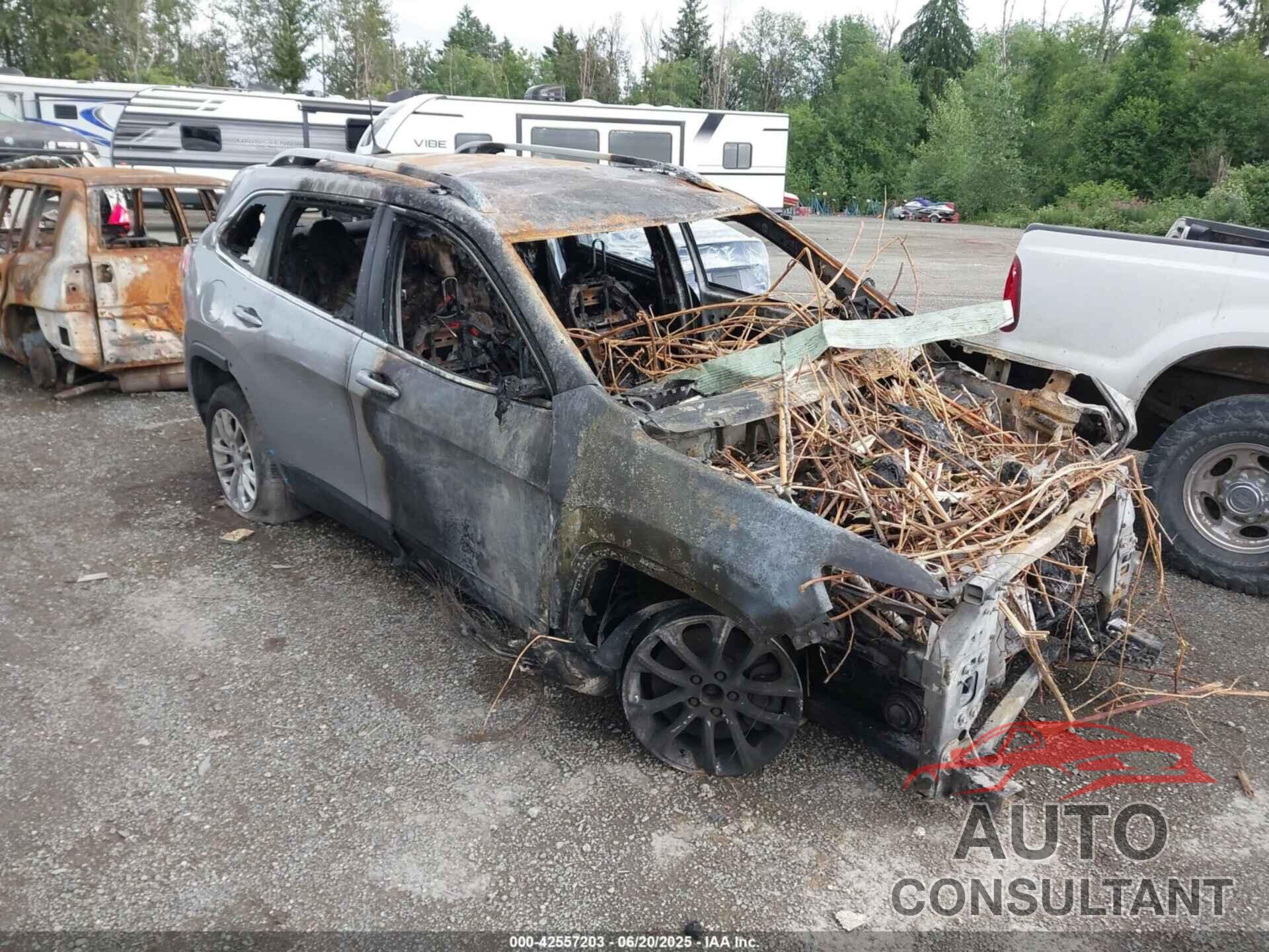 JEEP CHEROKEE 2019 - 1C4PJLCB5KD457781