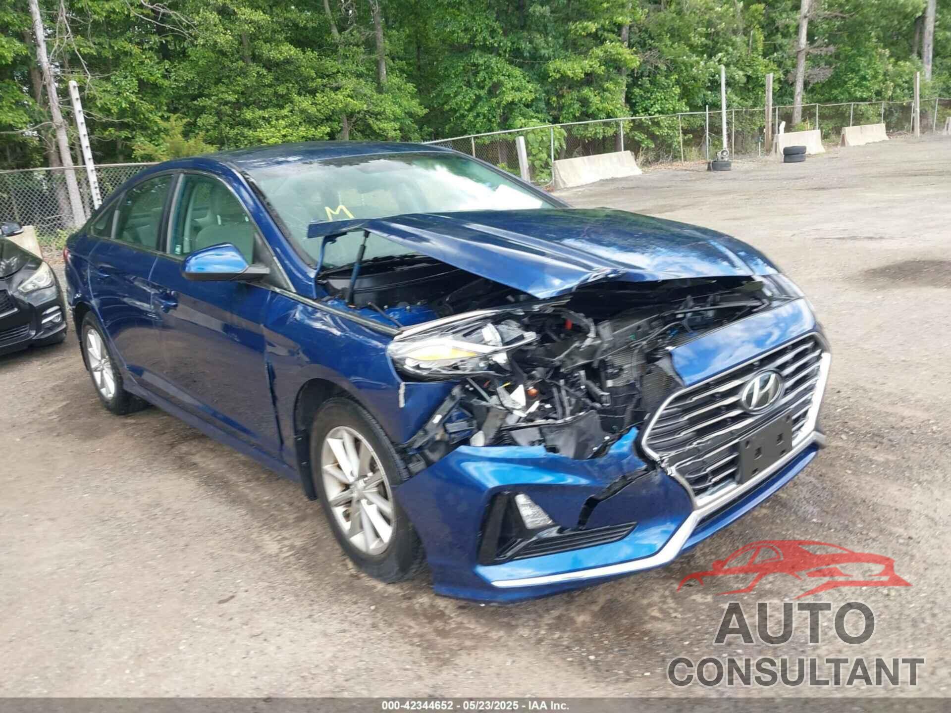 HYUNDAI SONATA 2019 - 5NPE24AF5KH790573