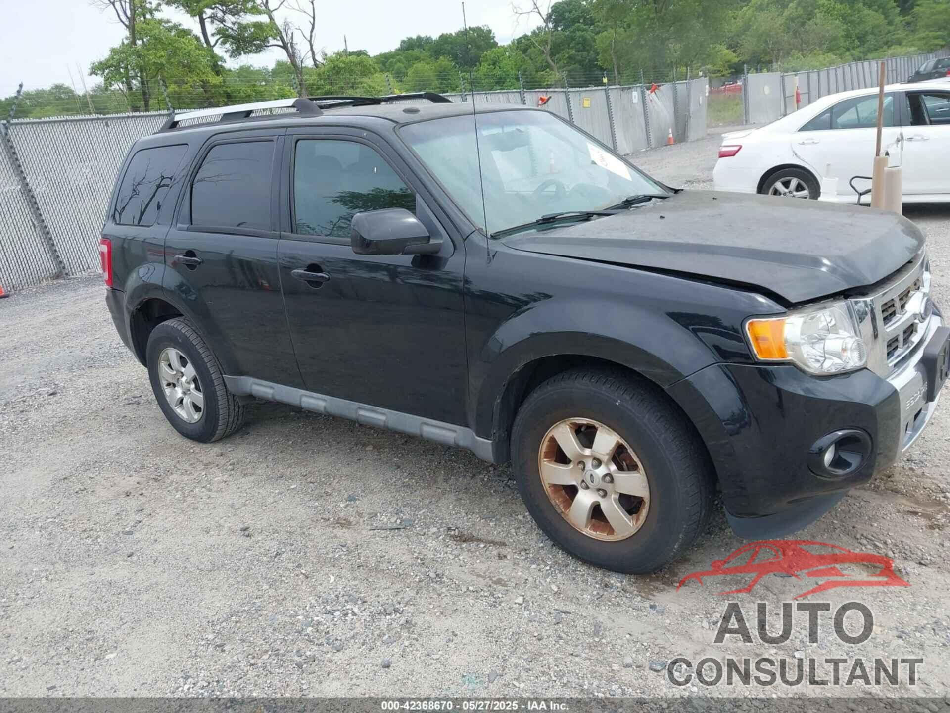 FORD ESCAPE 2010 - 1FMCU9EGXAKA03369