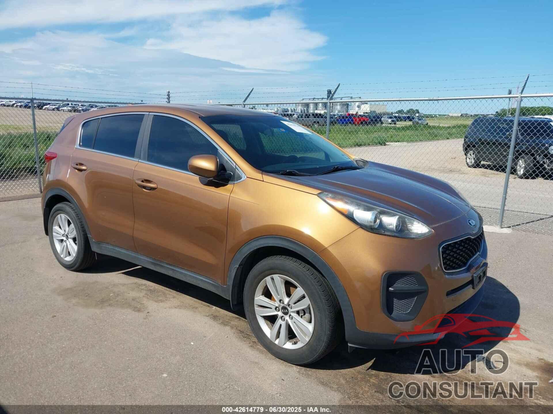 KIA SPORTAGE 2019 - KNDPM3AC5K7574830