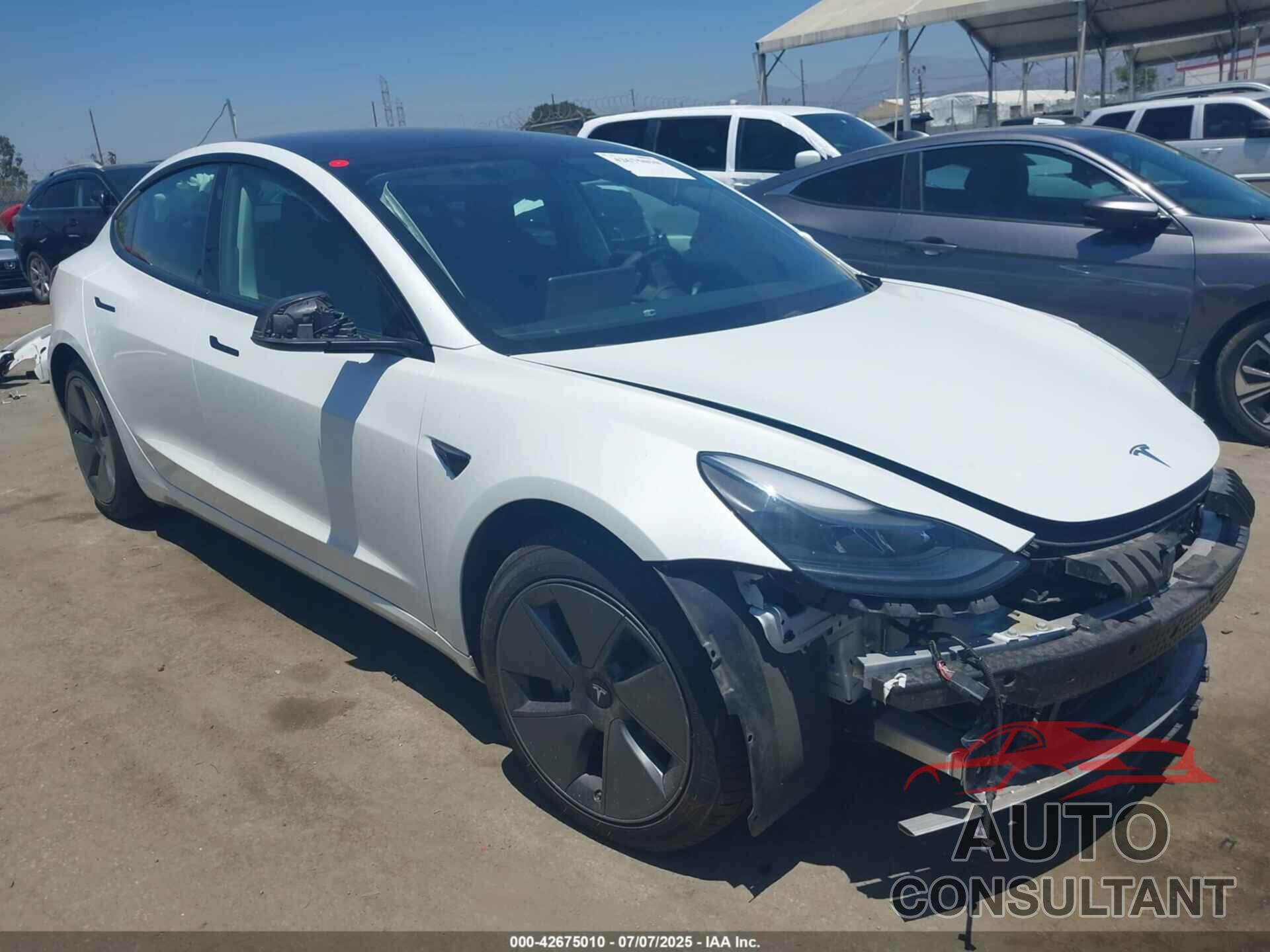 TESLA MODEL 3 2021 - 5YJ3E1EA1MF873558
