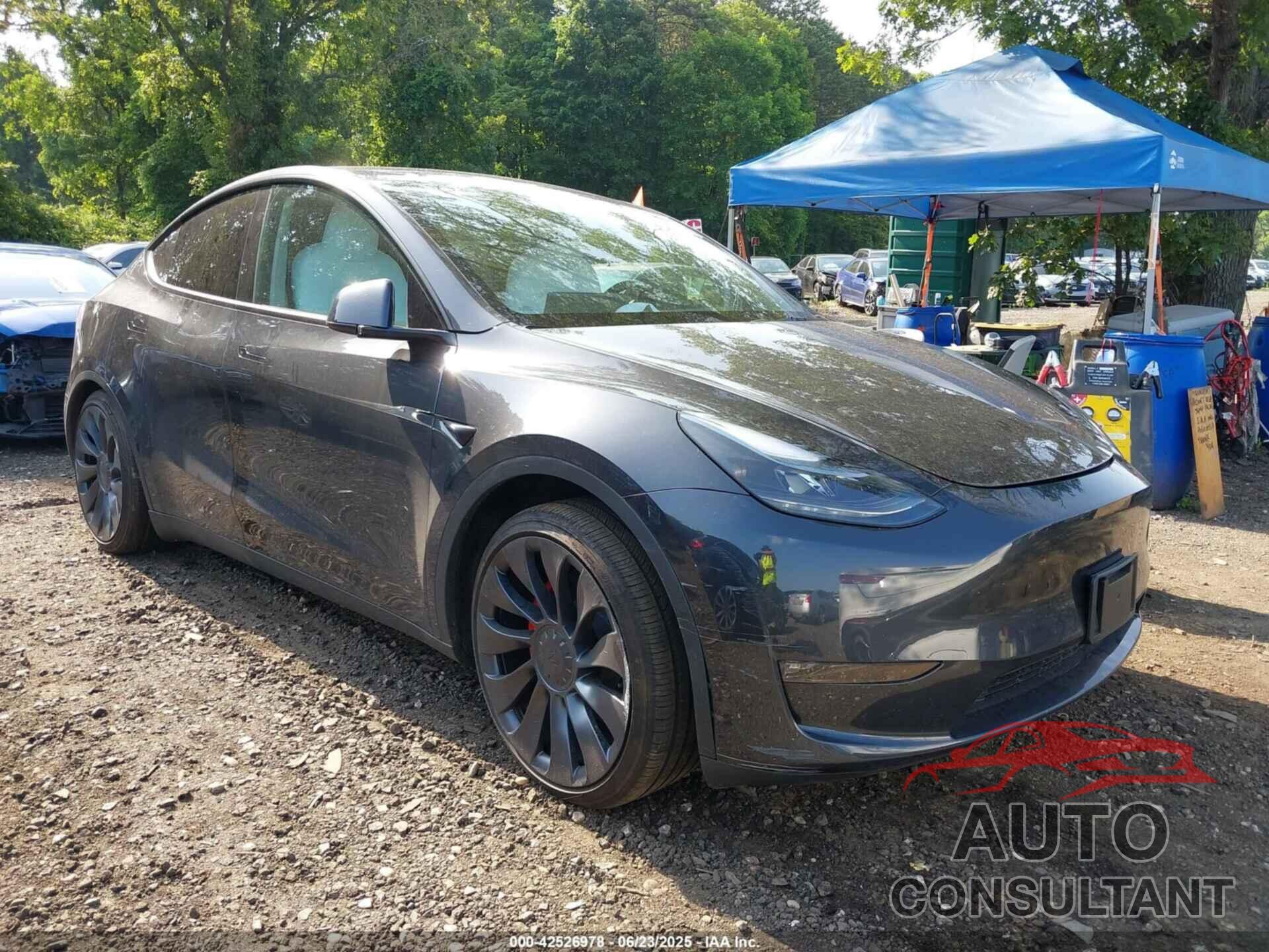 TESLA MODEL Y 2025 - 7SAYGDEF9SF305944