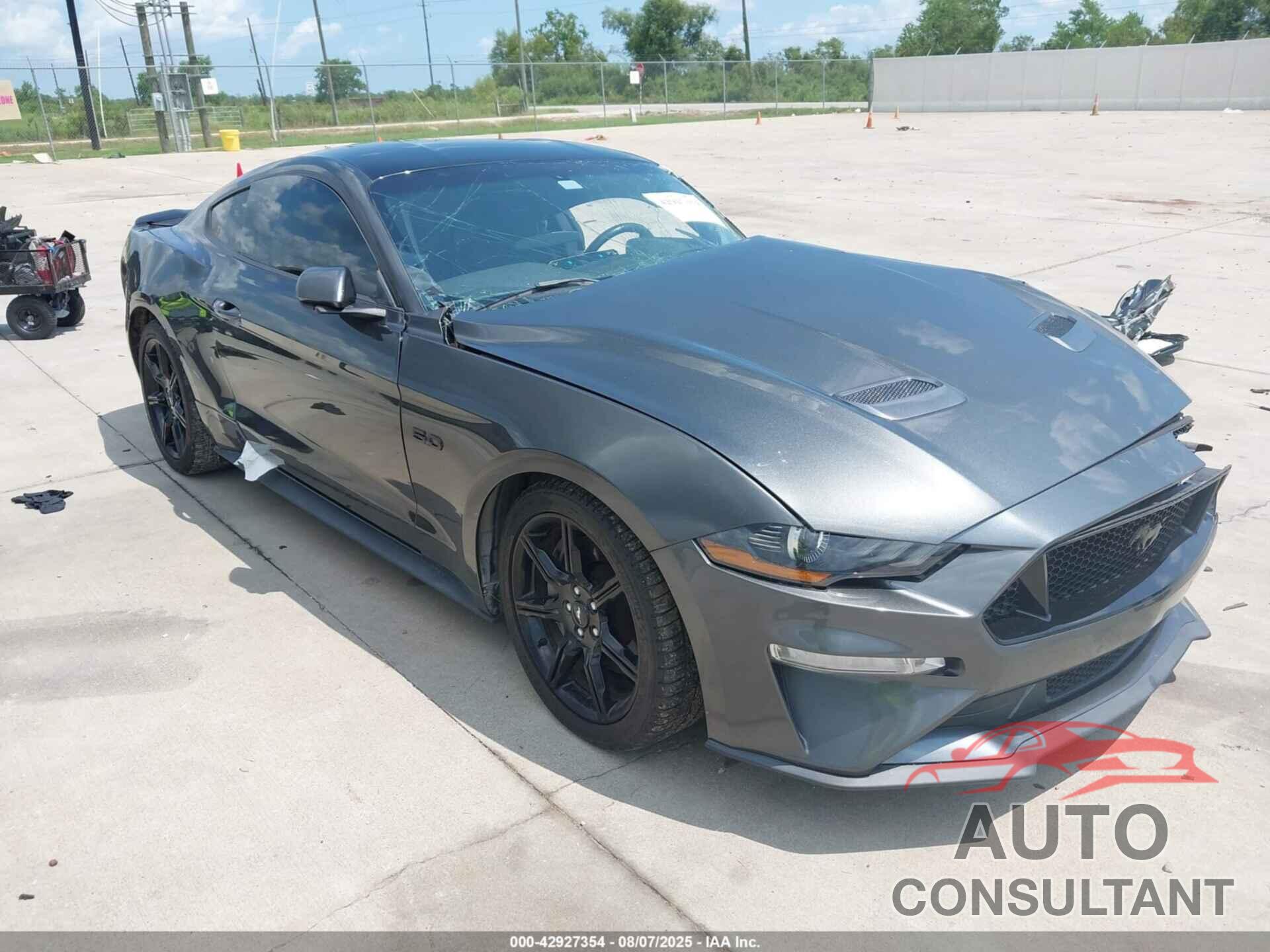 FORD MUSTANG 2019 - 1FA6P8CF8K5203394