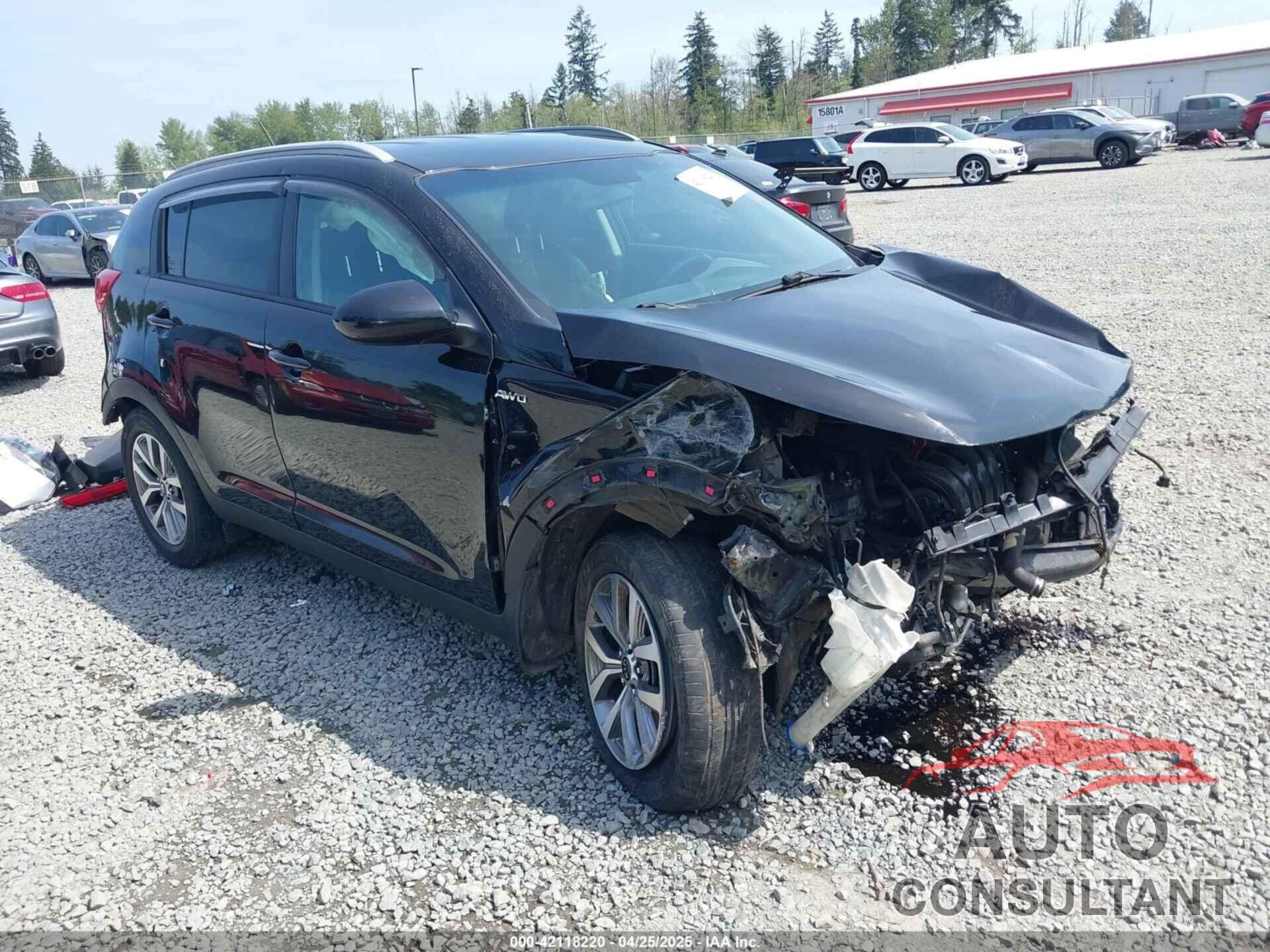 KIA SPORTAGE 2016 - KNDPBCAC8G7799983