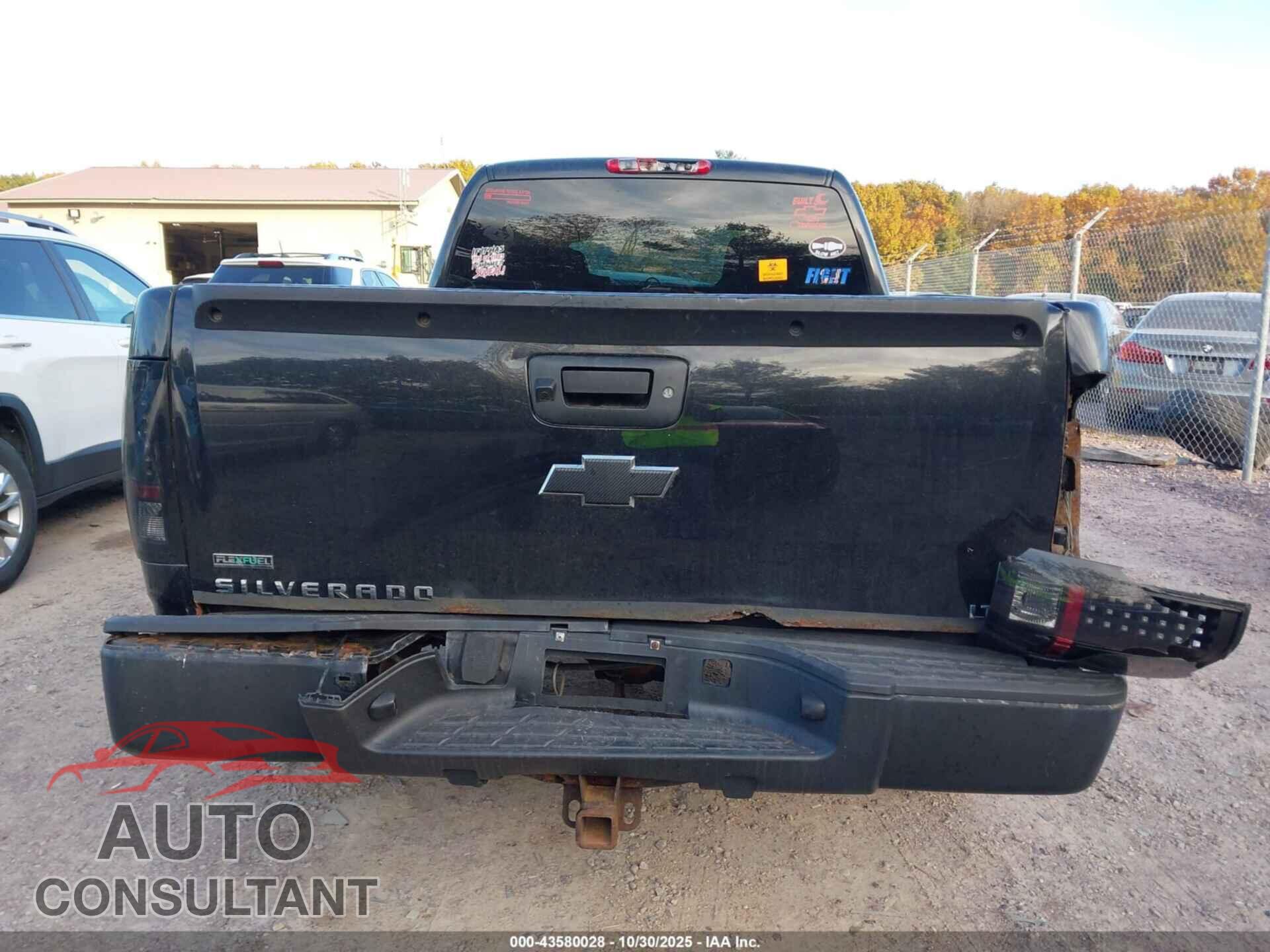 CHEVROLET SILVERADO 1500 2010 - 1GCSKSE30AZ106589