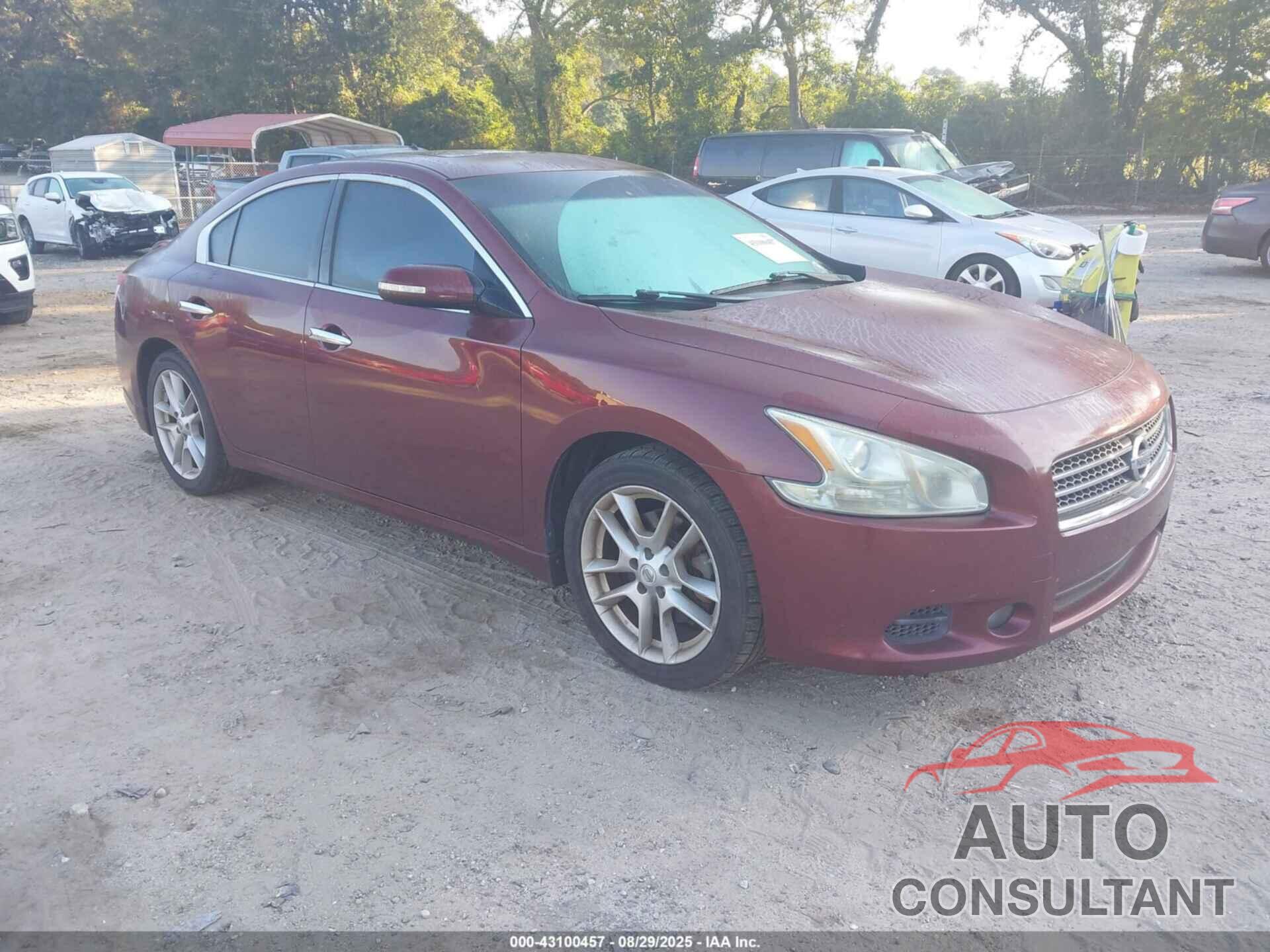 NISSAN MAXIMA 2010 - 1N4AA5AP6AC871887