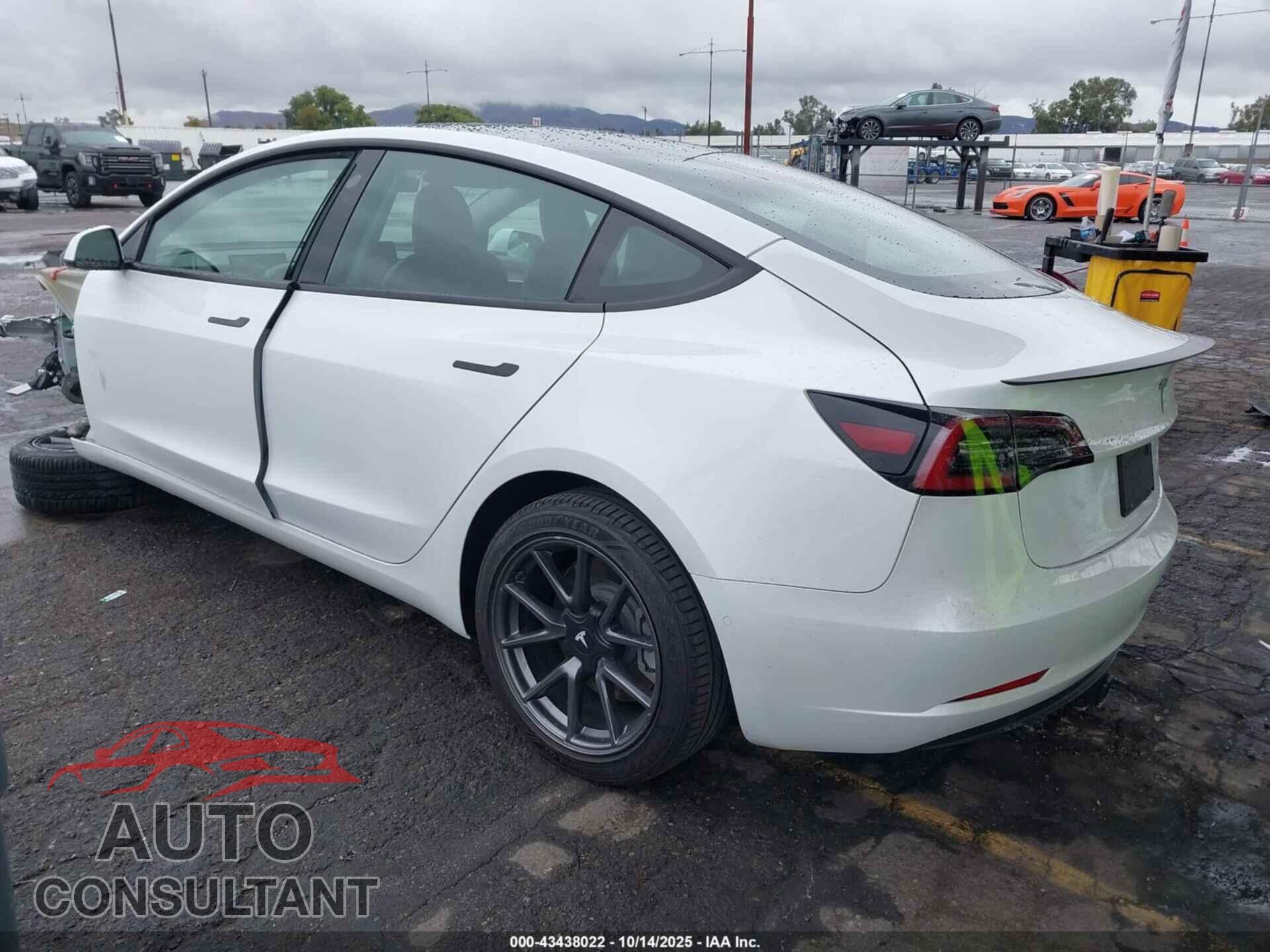 TESLA MODEL 3 2021 - 5YJ3E1EA3MF982541
