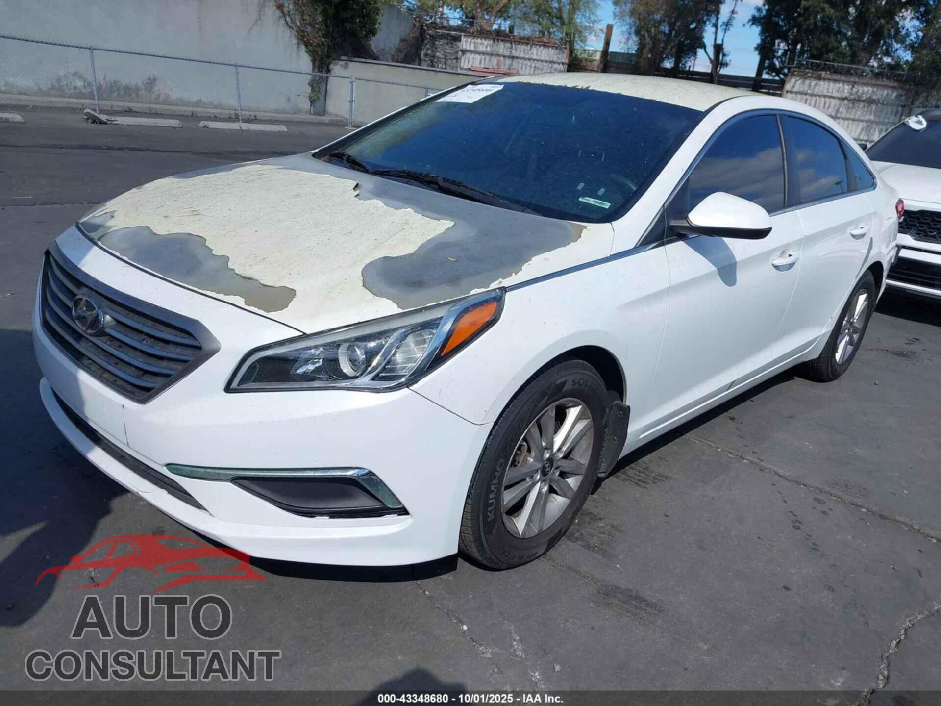 HYUNDAI SONATA 2017 - 5NPE24AA6HH445565