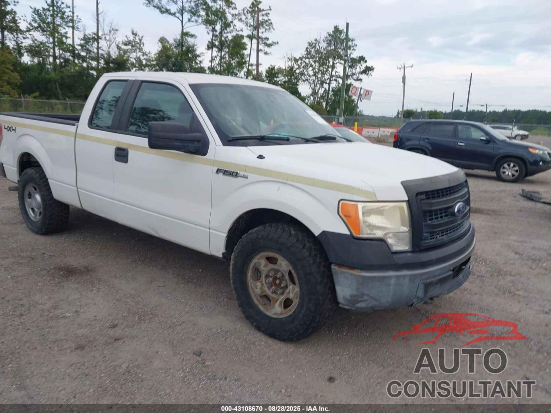 FORD F-150 2013 - 1FTFX1EFXDFB69597