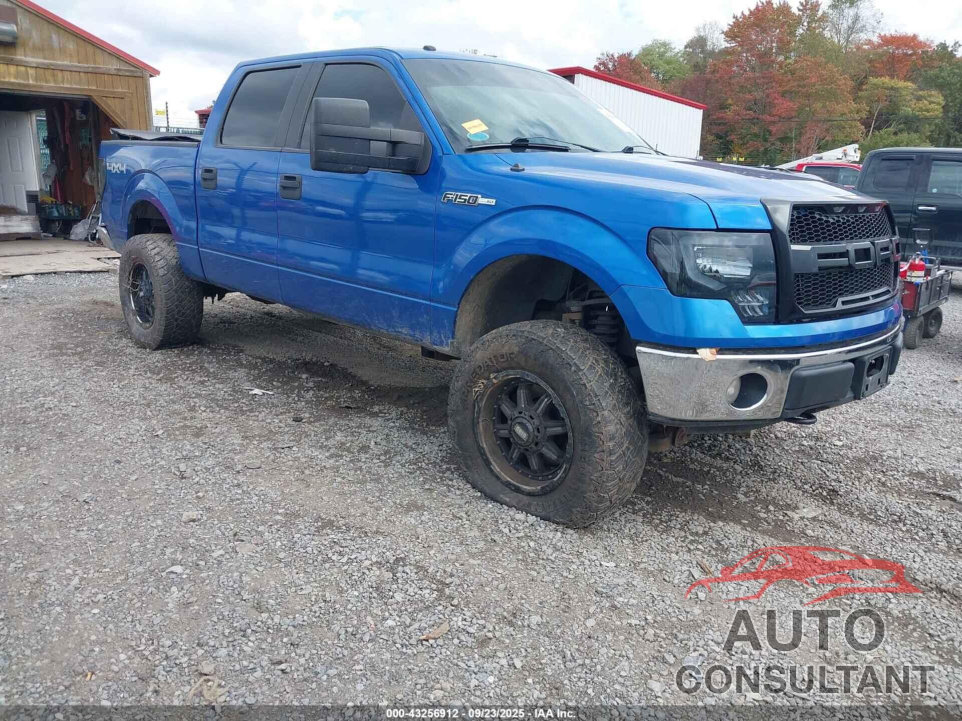 FORD F-150 2010 - 1FTEW1E81AFC96122