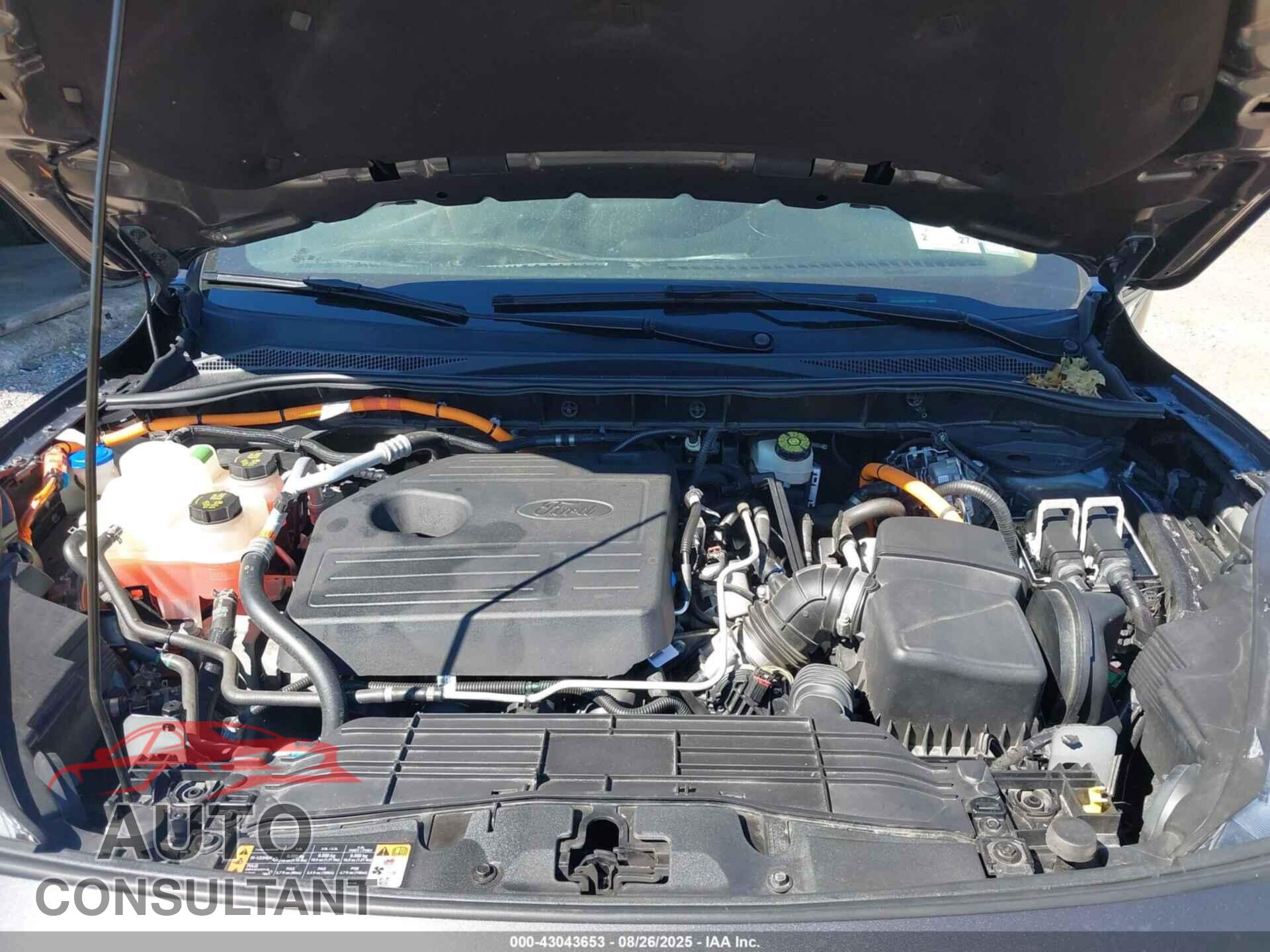 FORD ESCAPE 2020 - 1FMCU9BZ0LUA43926