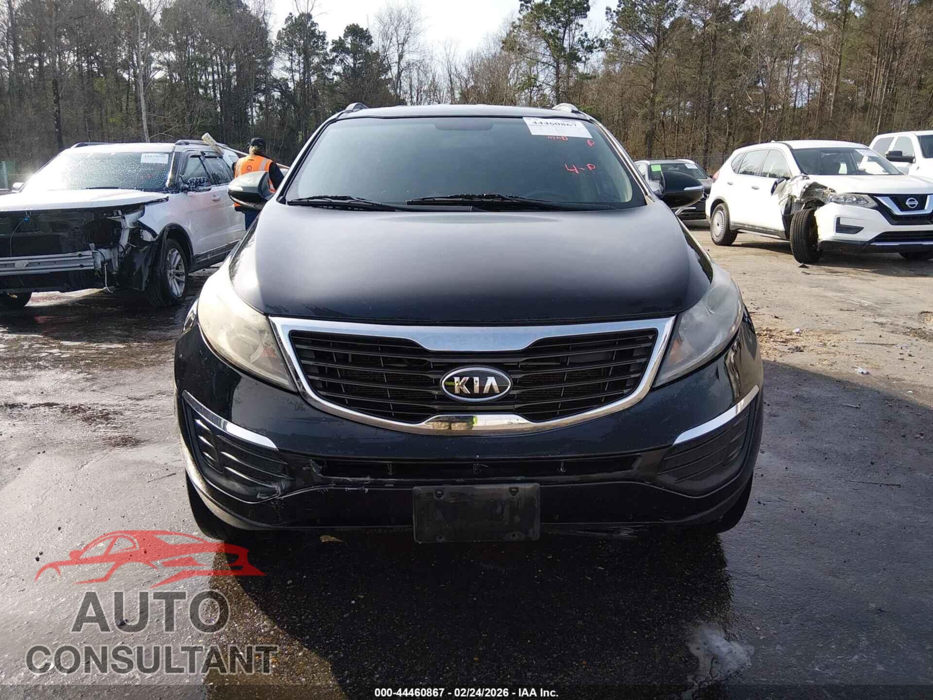 KIA SPORTAGE 2013 - KNDPCCA22D7491885