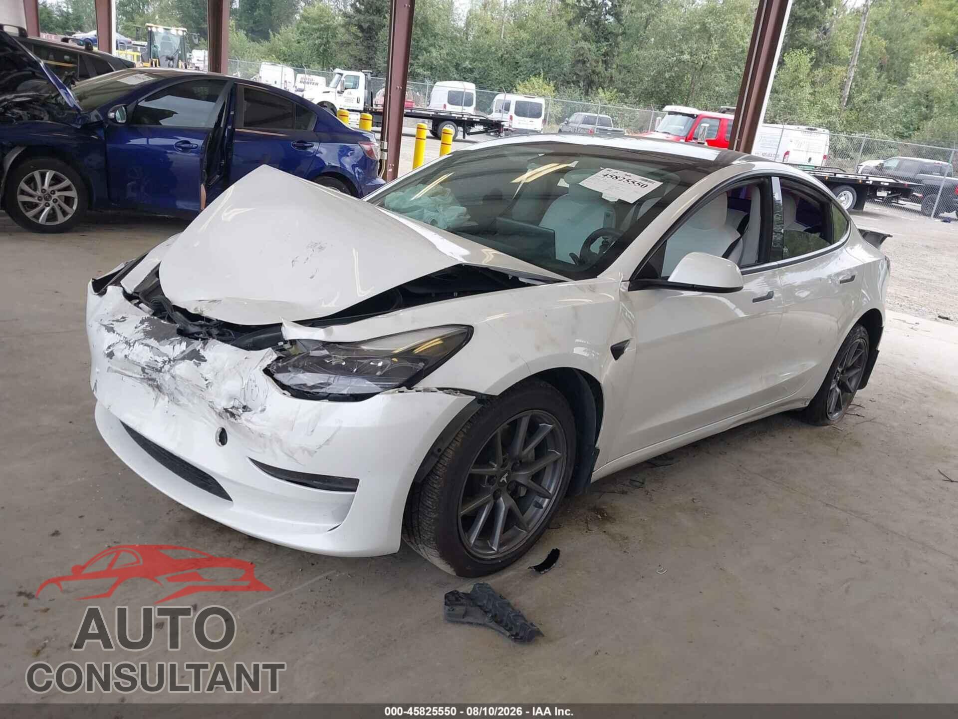TESLA MODEL 3 2021 - 5YJ3E1EA8MF053848
