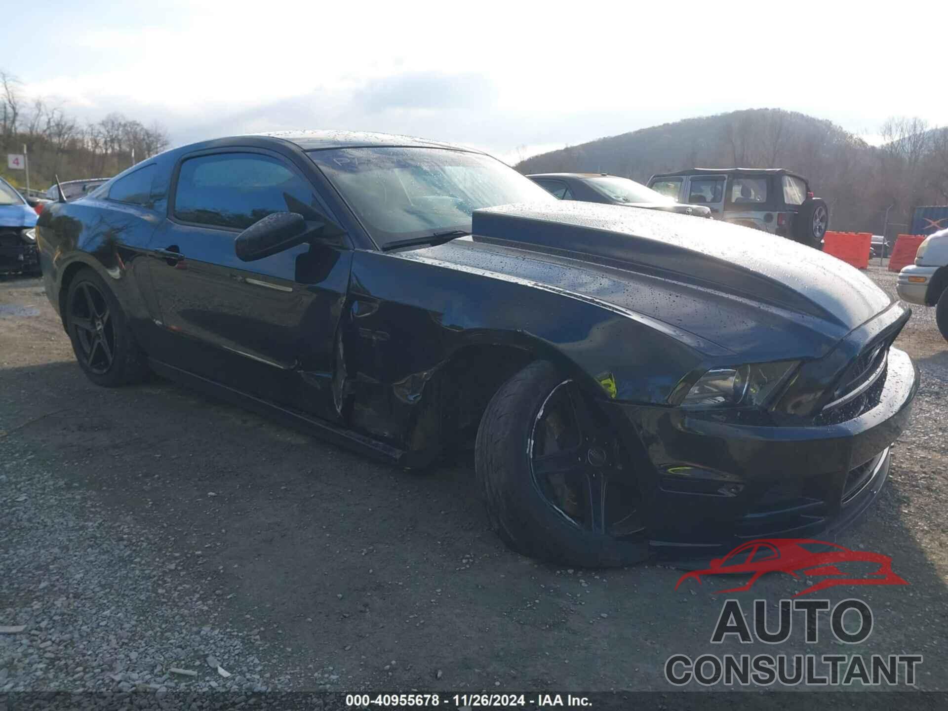 FORD MUSTANG 2013 - 1ZVBP8CF1D5240974