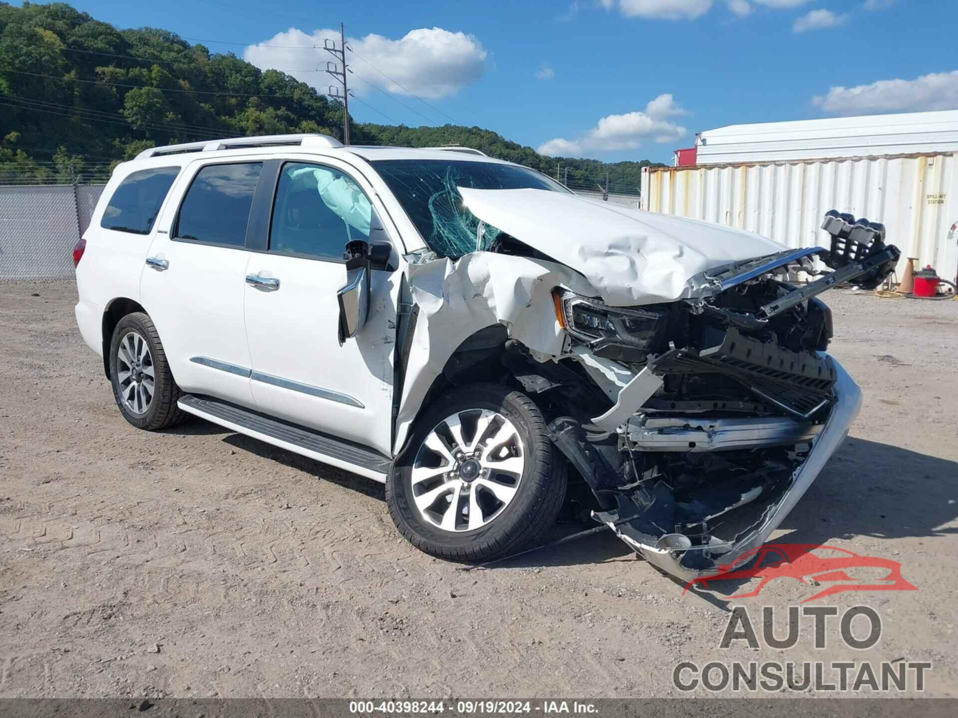 TOYOTA SEQUOIA 2019 - 5TDJY5G10KS172215