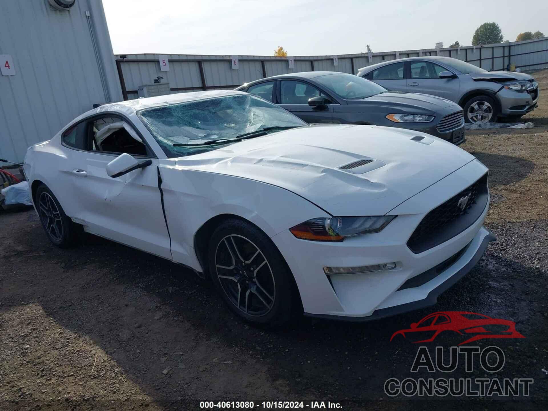 FORD MUSTANG 2019 - 1FA6P8TH6K5123660