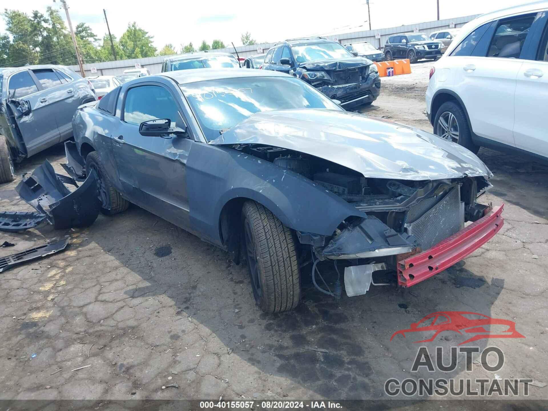 FORD MUSTANG 2011 - 1ZVBP8AM8B5111600