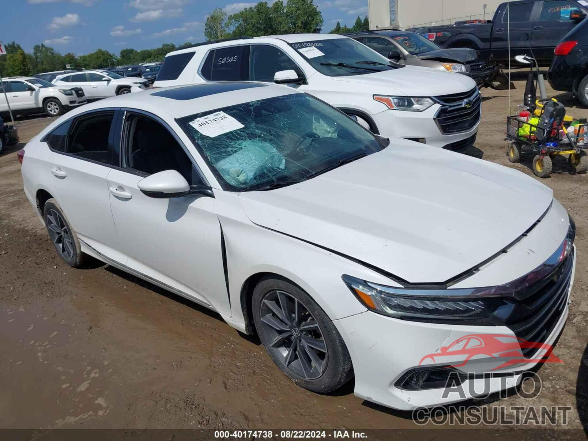 HONDA ACCORD 2021 - 1HGCV1F50MA031385