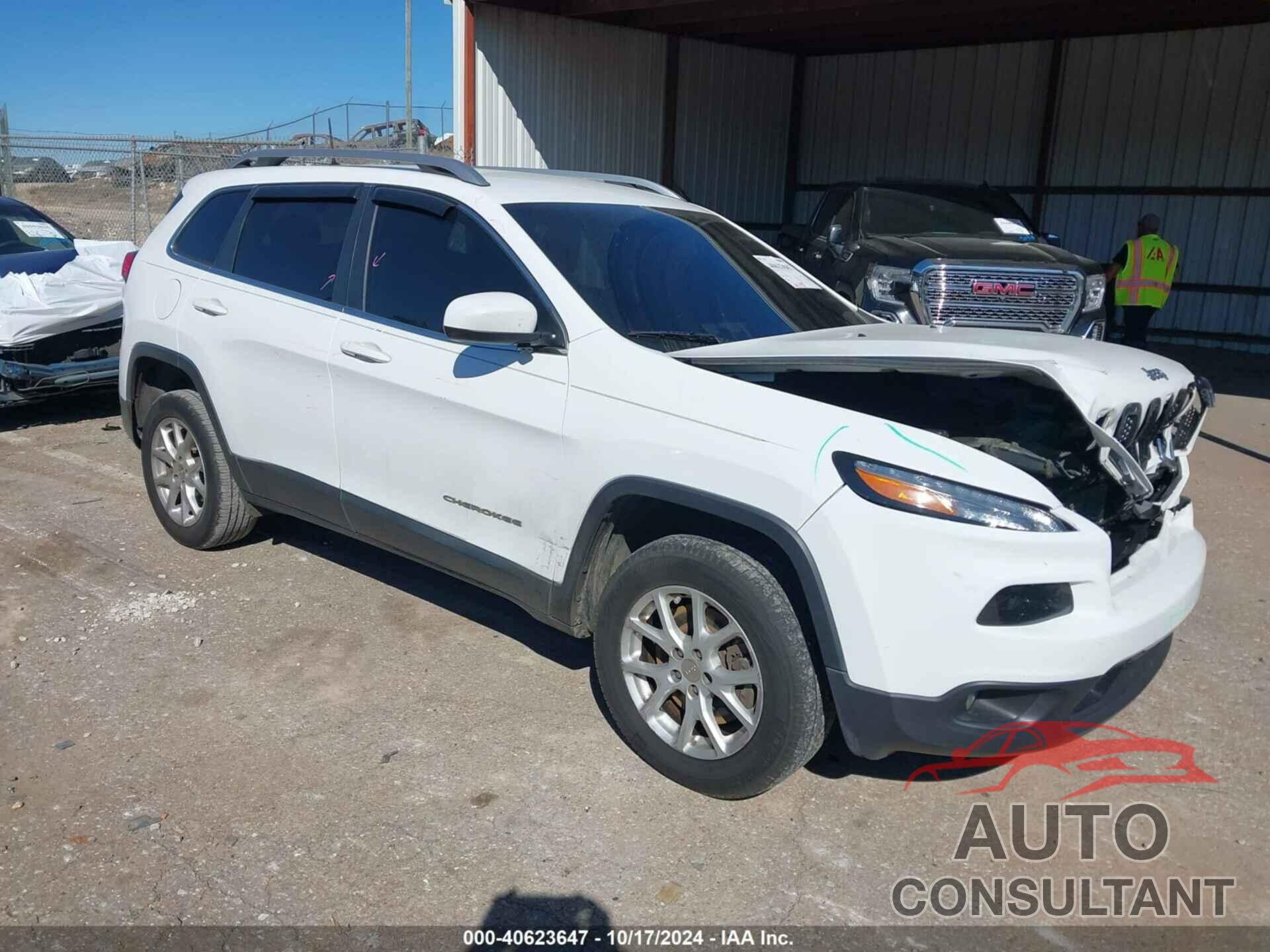 JEEP CHEROKEE 2017 - 1C4PJLCB5HD231121