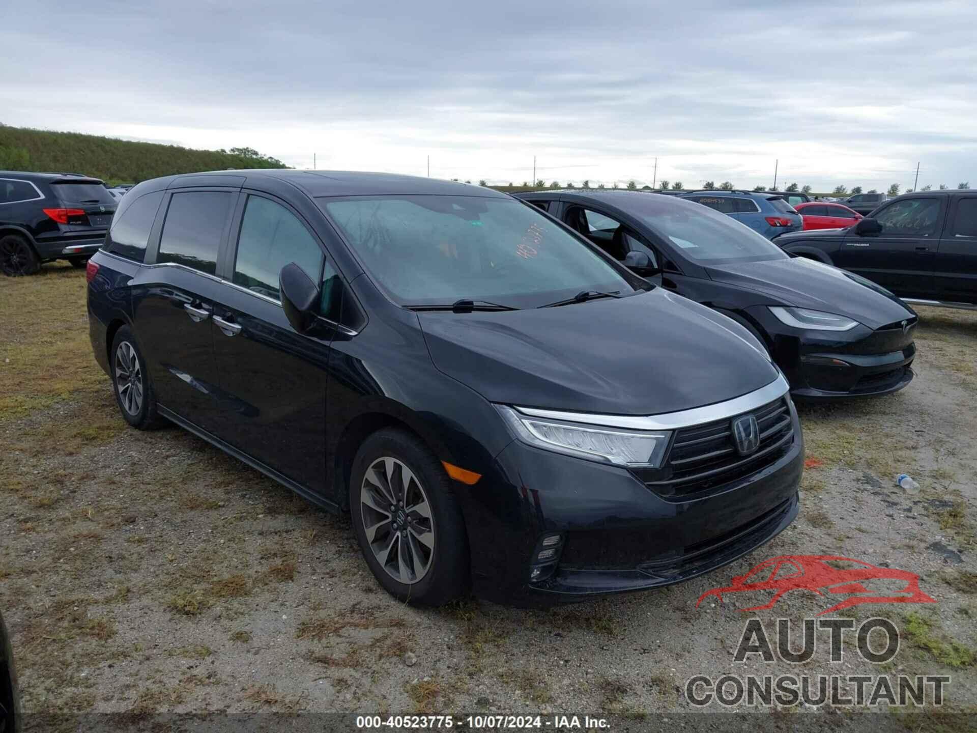 HONDA ODYSSEY 2022 - 5FNRL6H7XNB003662