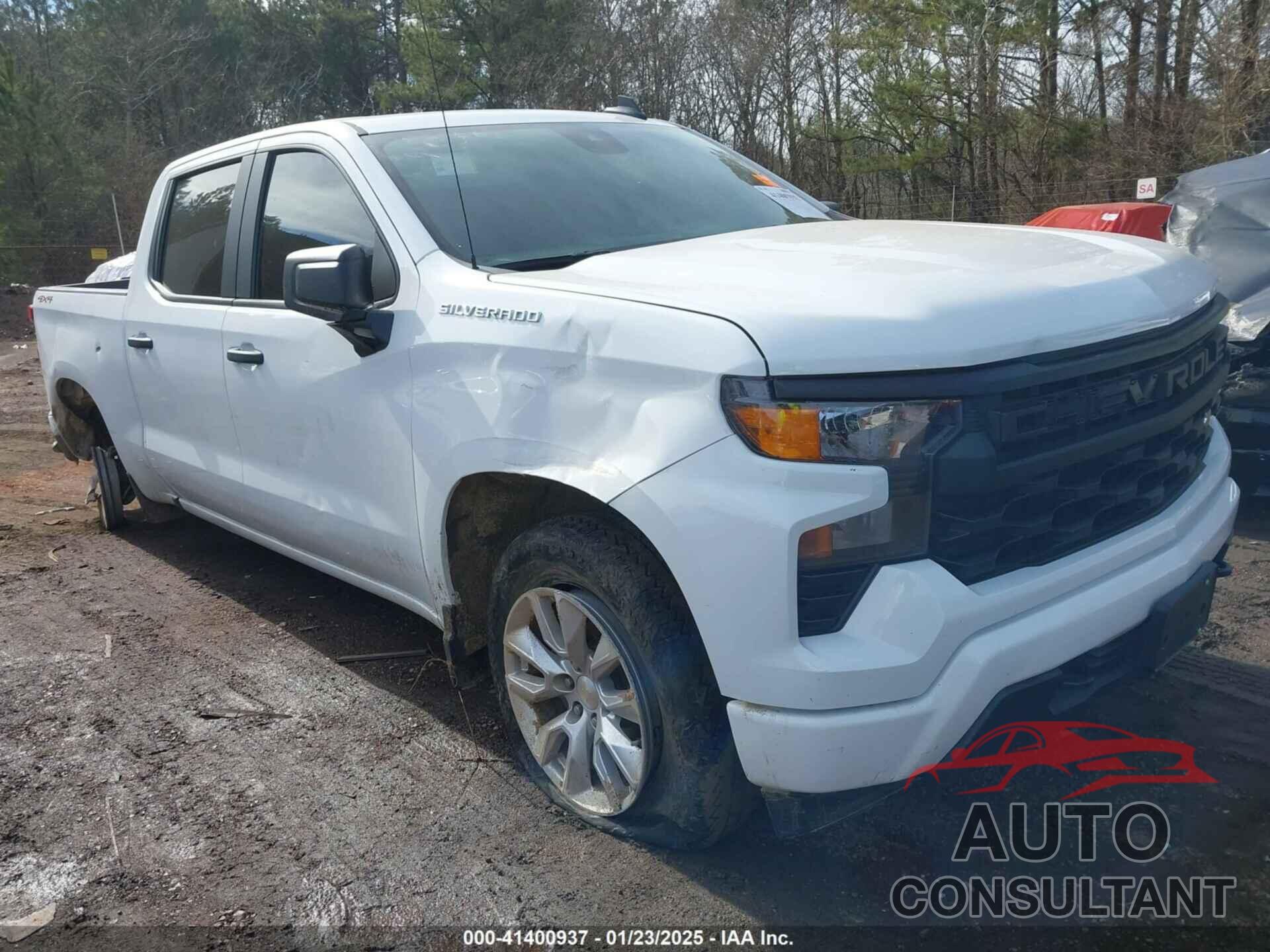 CHEVROLET SILVERADO 1500 2024 - 3GCPDBEK4RG304028