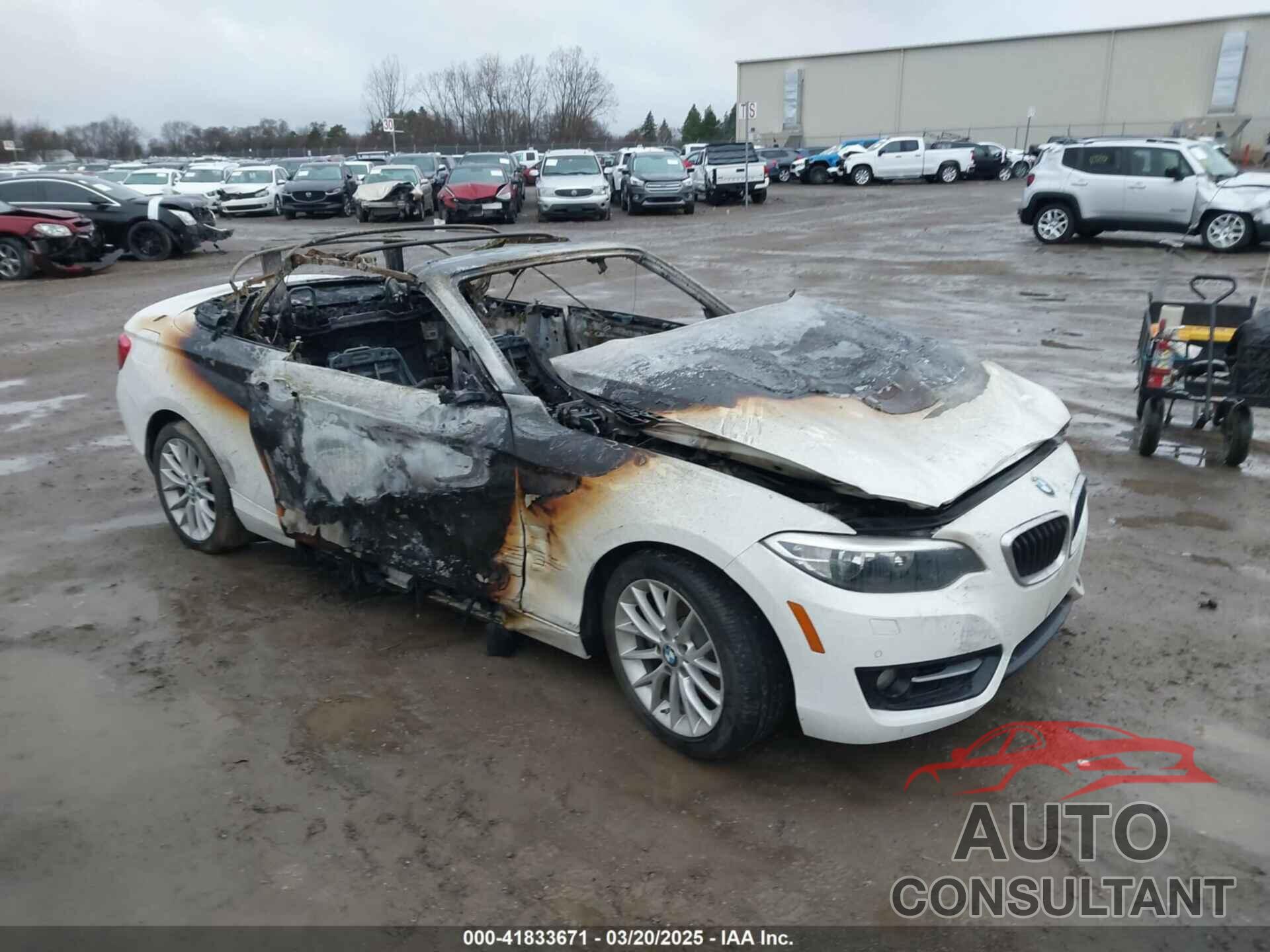 BMW 228I 2016 - WBA1L9C56GV325558