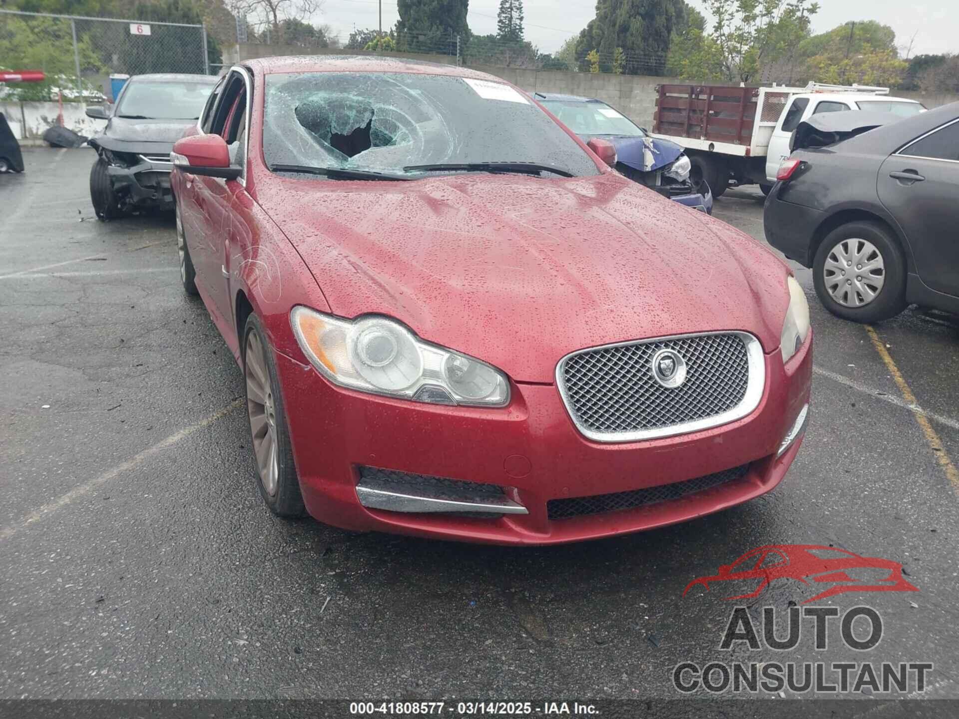 JAGUAR XF 2009 - SAJWA05B29HR06975