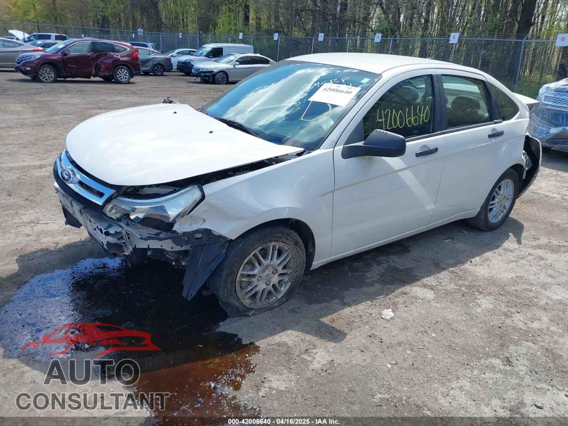 FORD FOCUS 2011 - 1FAHP3FN2BW100531