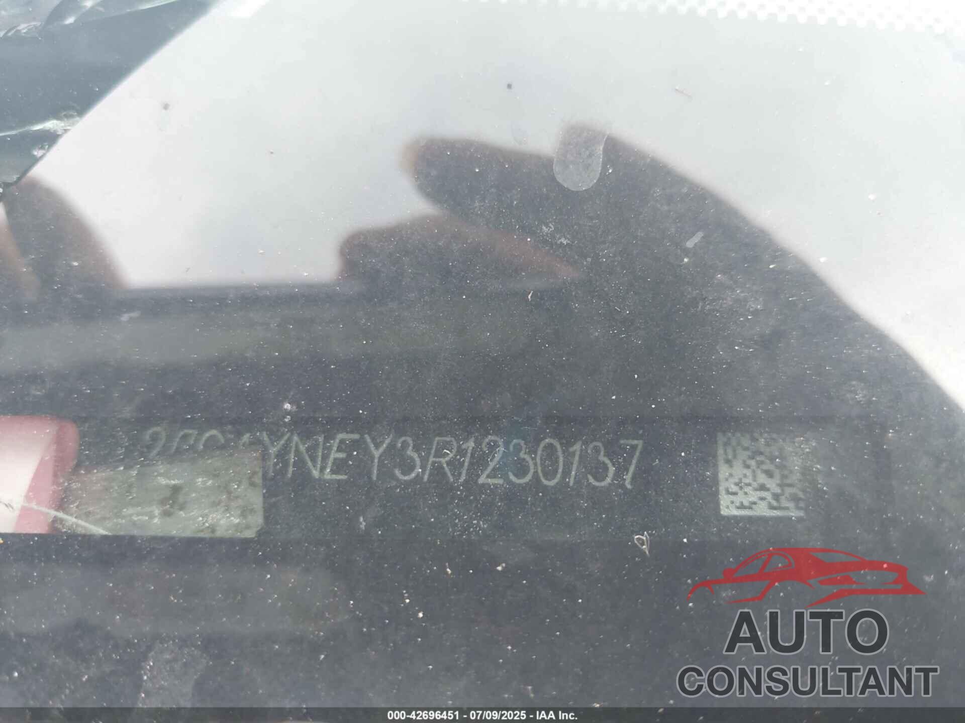 CHEVROLET SILVERADO 2024 - 2GC4YNEY3R1230137