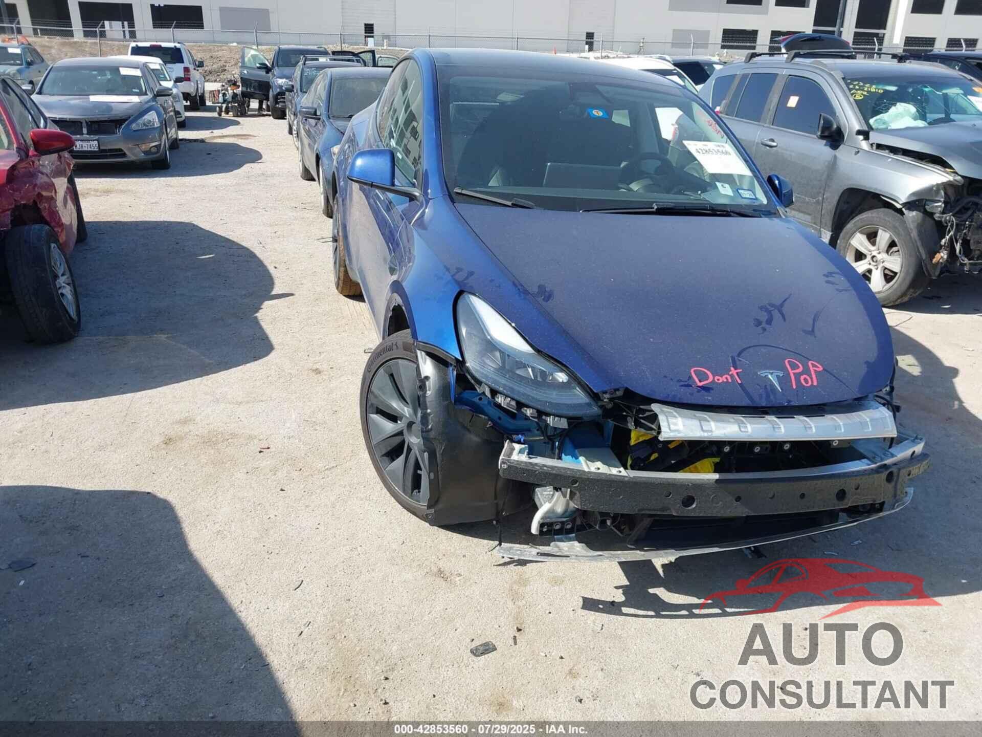 TESLA MODEL Y 2025 - 7SAYGAEE9SF288732