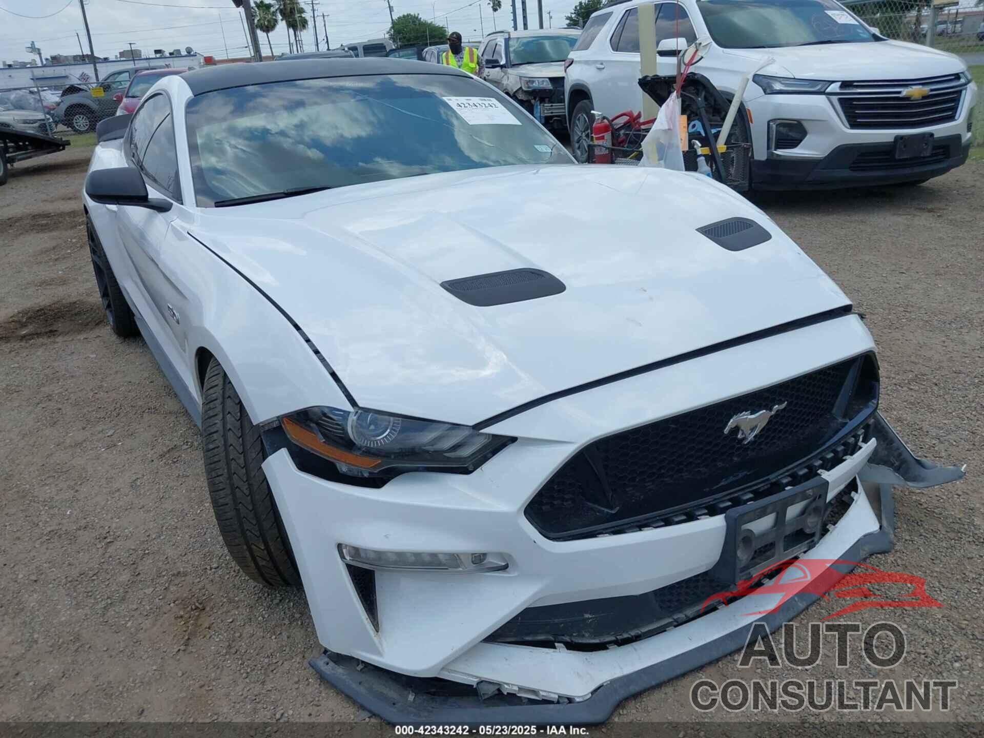 FORD MUSTANG 2019 - 1FA6P8CF1K5192822