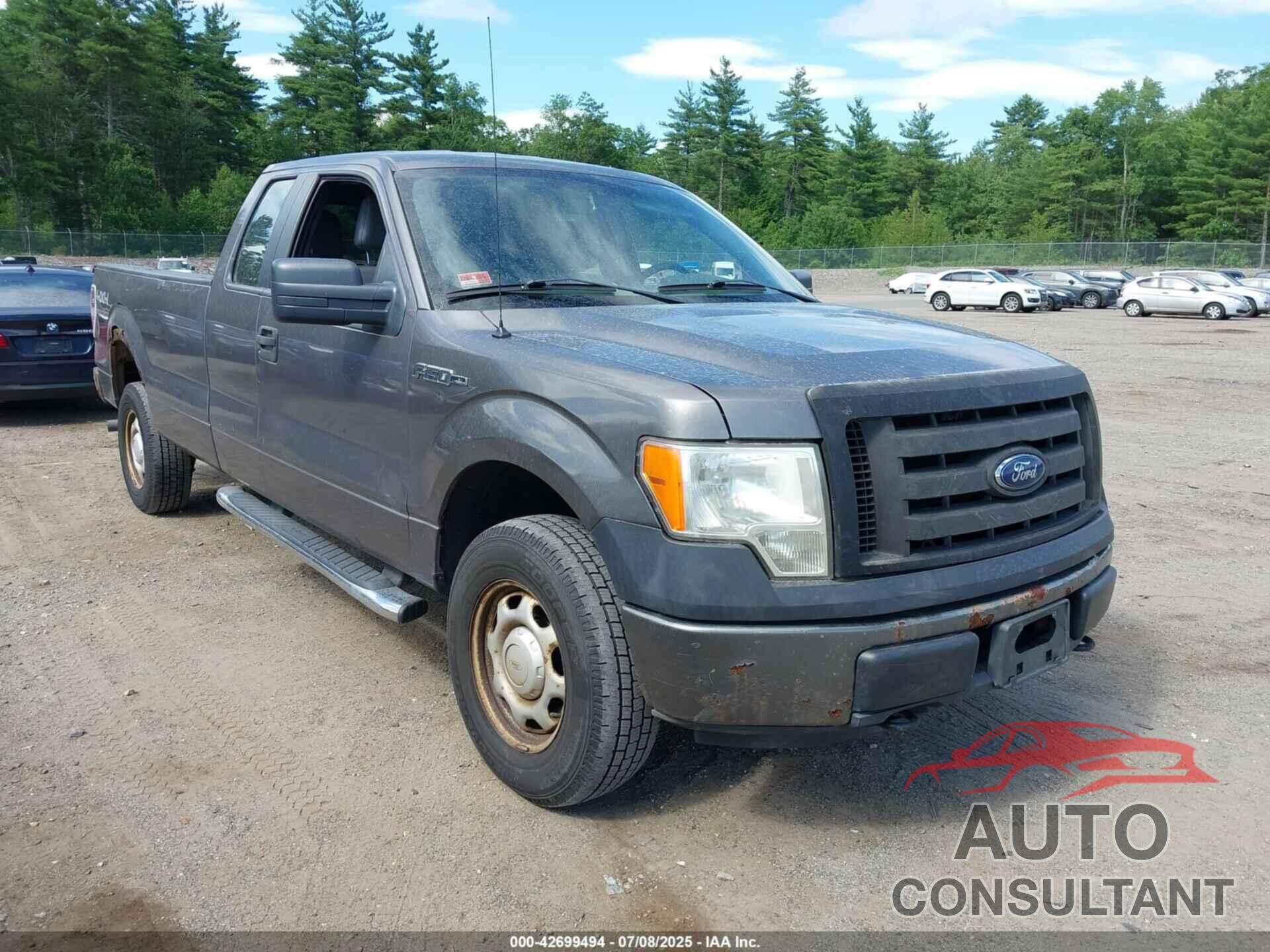 FORD F-150 2013 - 1FTFX1EF7DKE08062