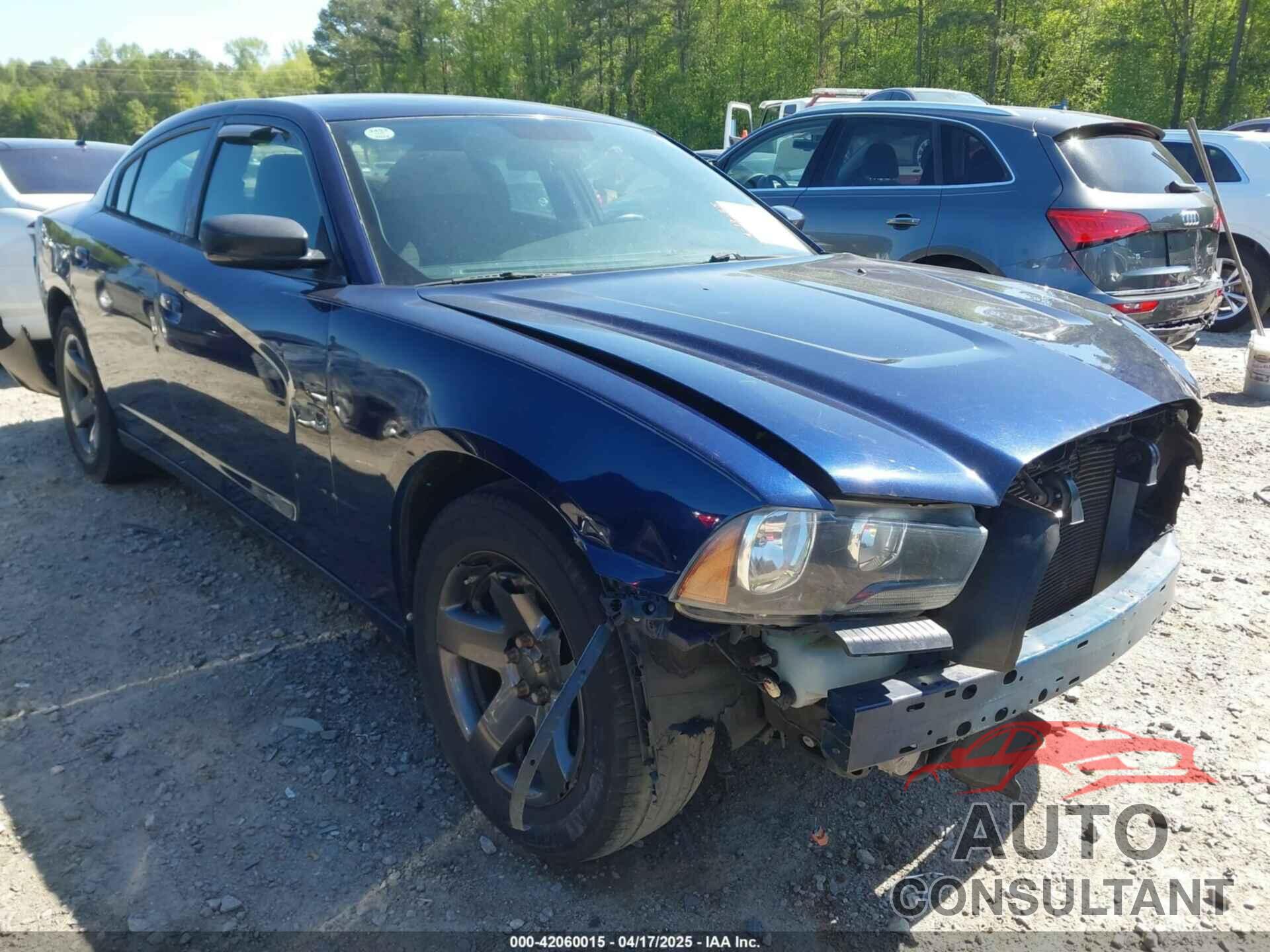 DODGE CHARGER 2014 - 2C3CDXAT2EH220718