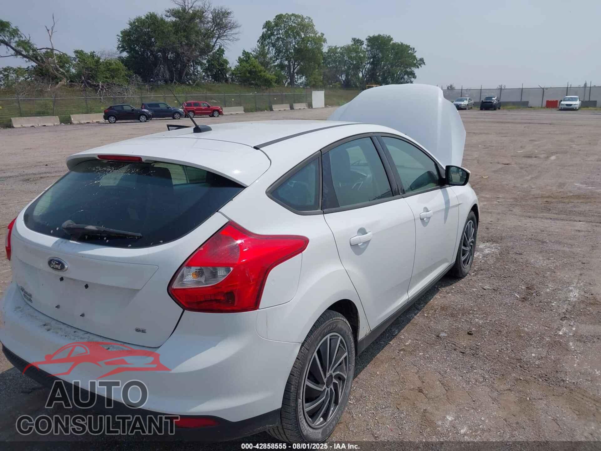 FORD FOCUS 2012 - 1FAHP3K24CL105065