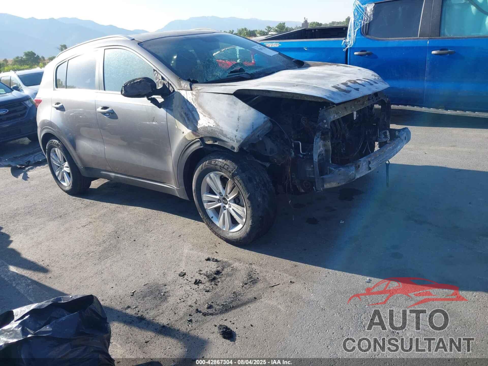 KIA SPORTAGE 2017 - KNDPM3AC1H7074334
