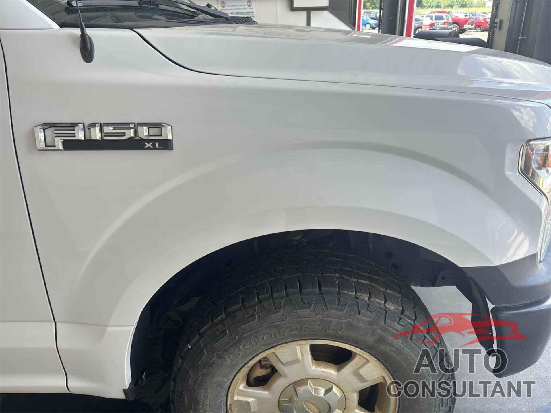 FORD F150 2019 - 1FTMF1EB1KKE10510