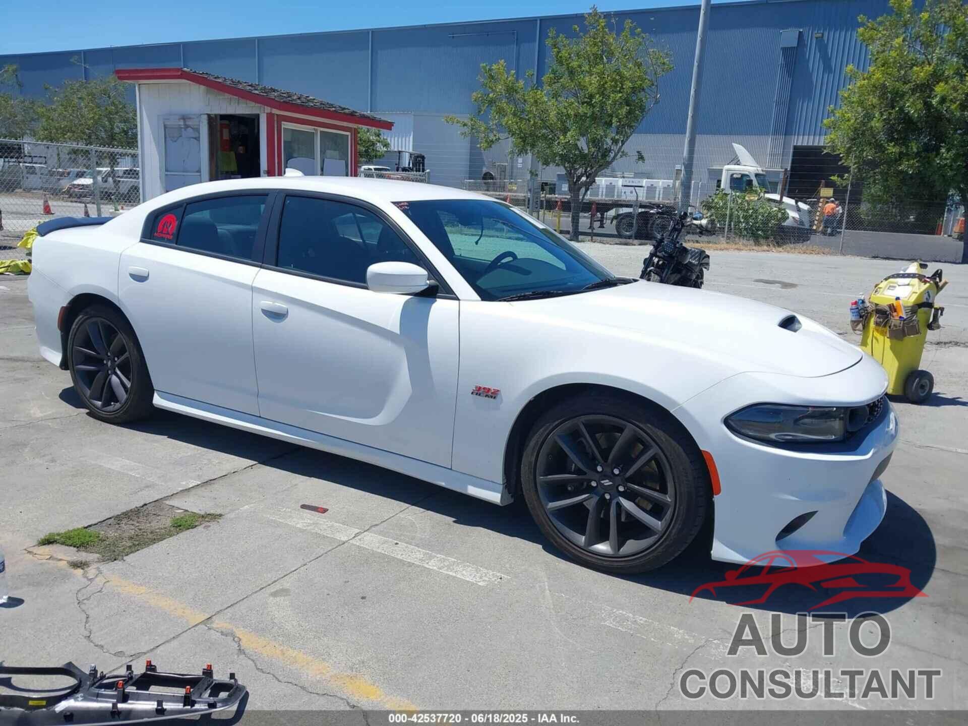 DODGE CHARGER 2019 - 2C3CDXGJ5KH710524