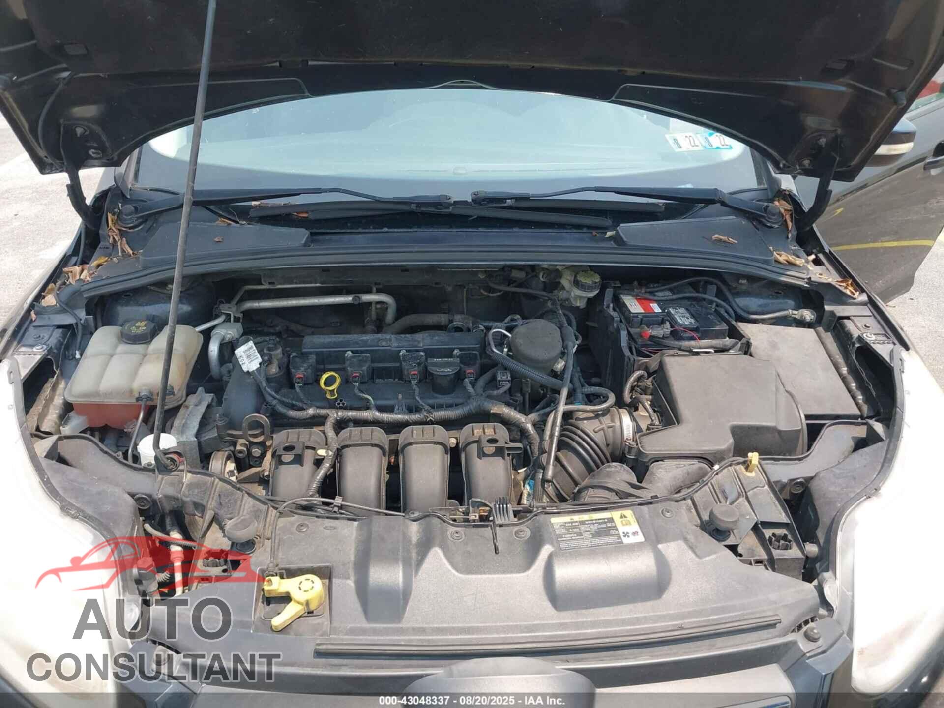 FORD FOCUS 2014 - 1FADP3K20EL214169