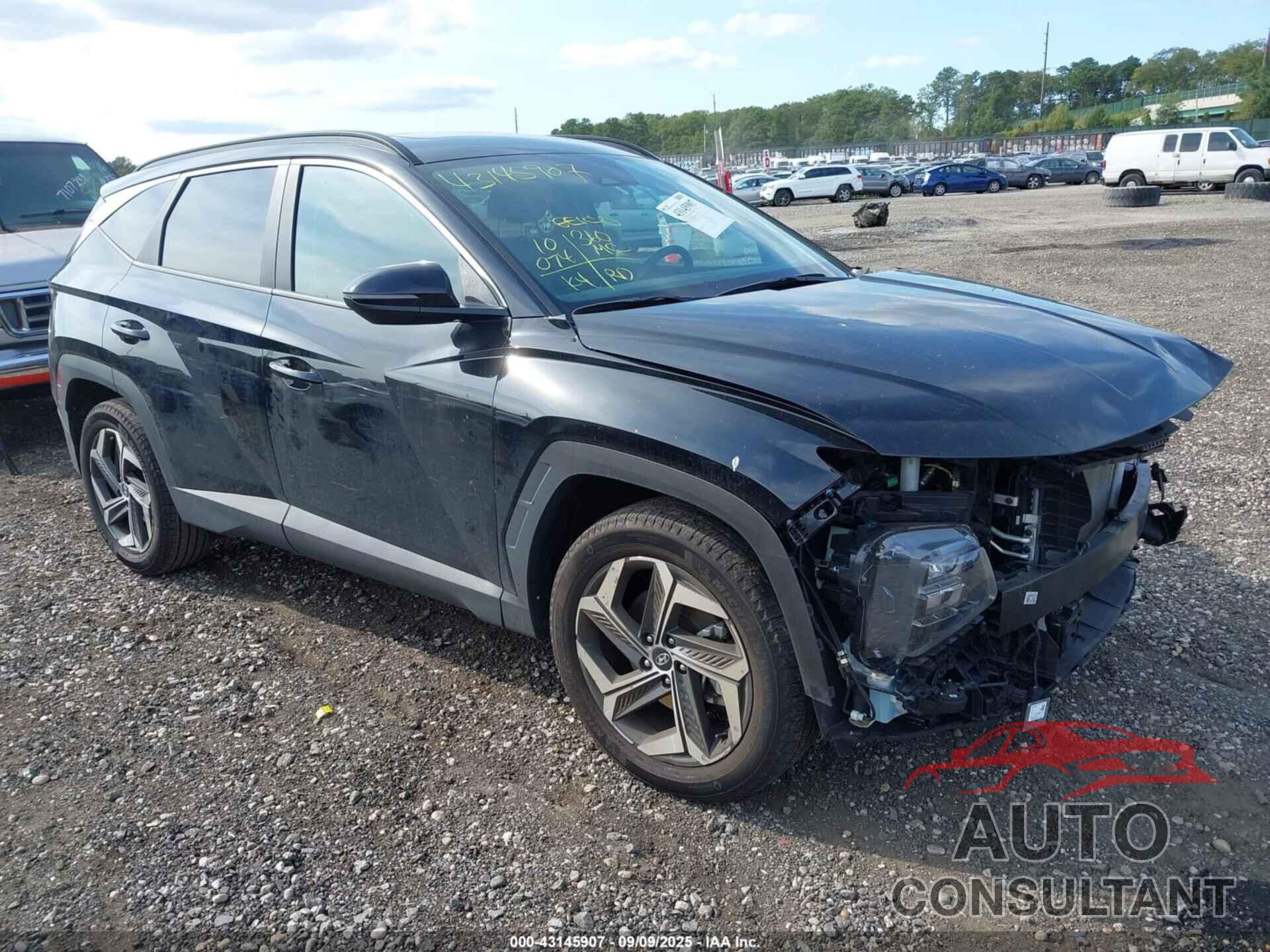 HYUNDAI TUCSON 2024 - 5NMJFCDE2RH376142