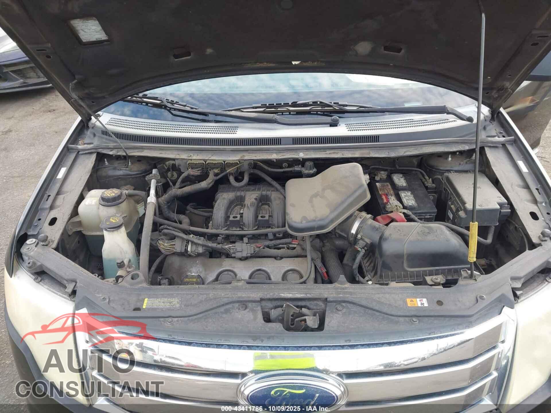 FORD EDGE 2009 - 2FMDK39C39BB00577