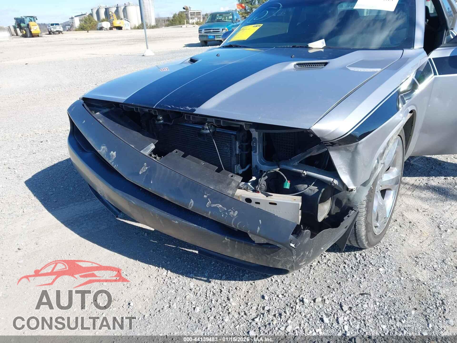 DODGE CHALLENGER 2013 - 2C3CDYAG3DH616289