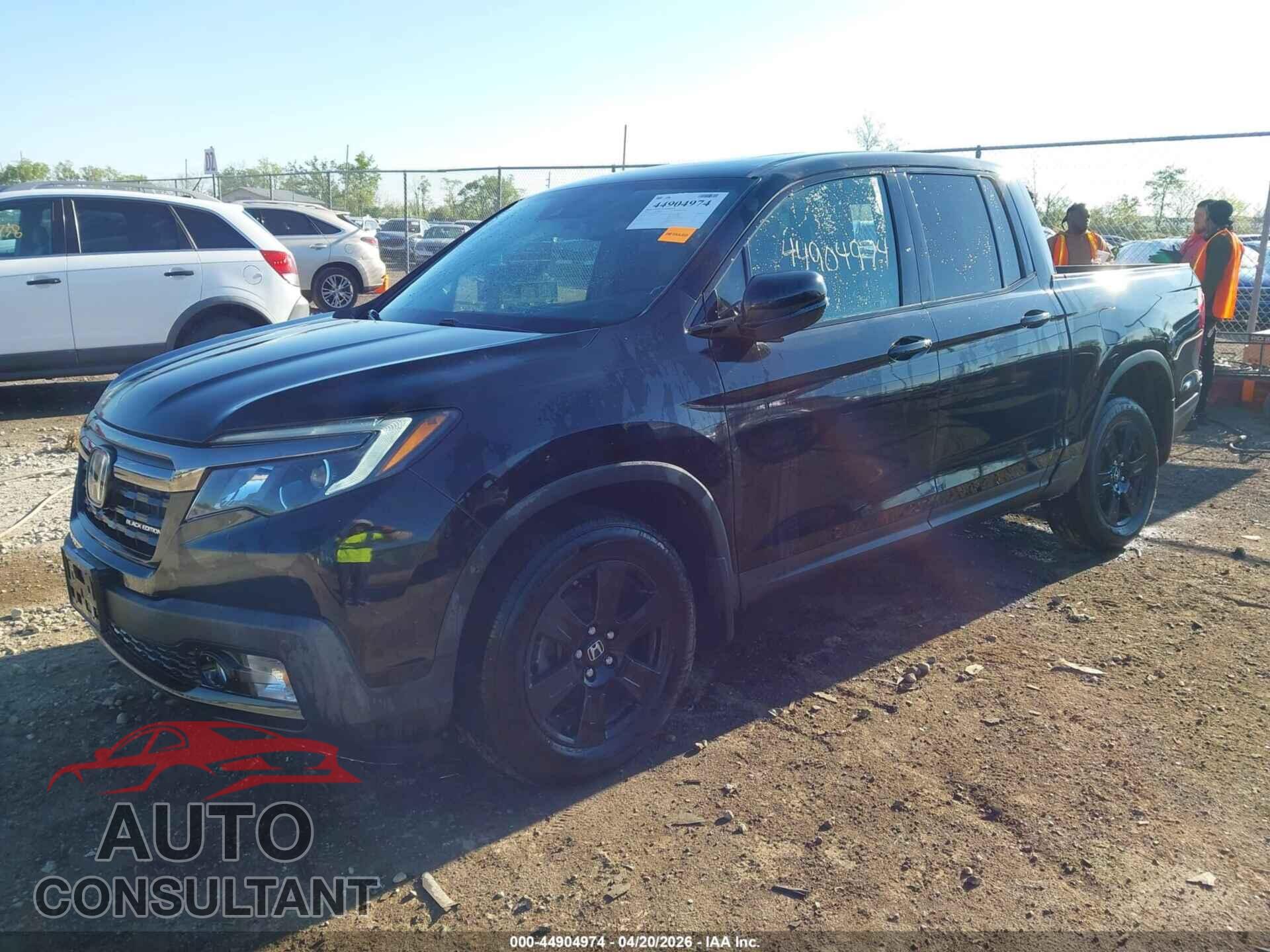 HONDA RIDGELINE 2019 - 5FPYK3F85KB017724
