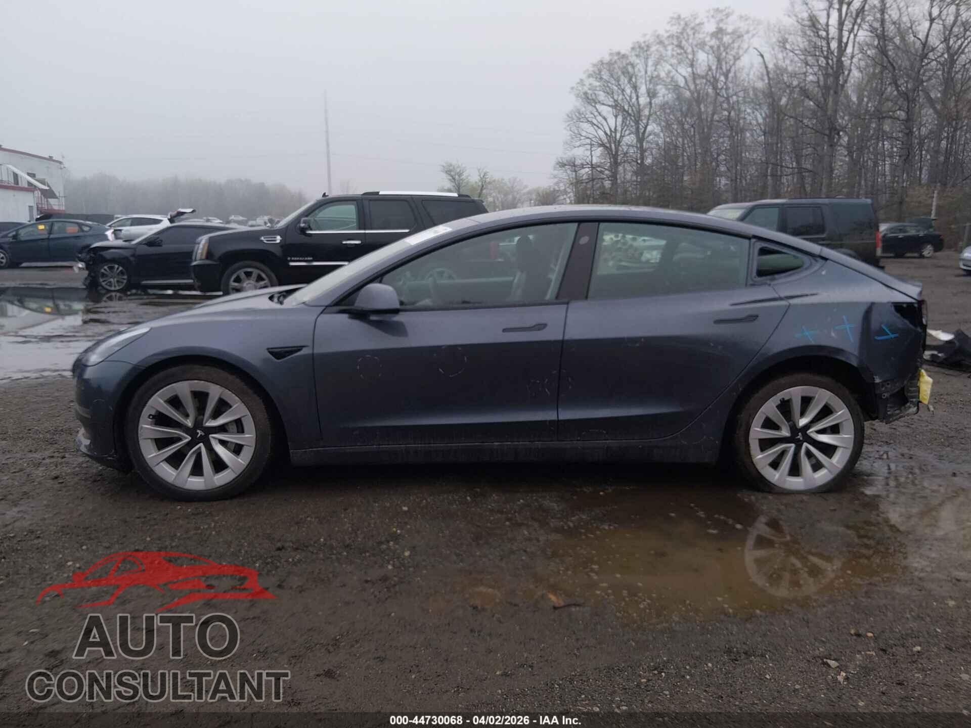 TESLA MODEL 3 2021 - 5YJ3E1EA2MF856638