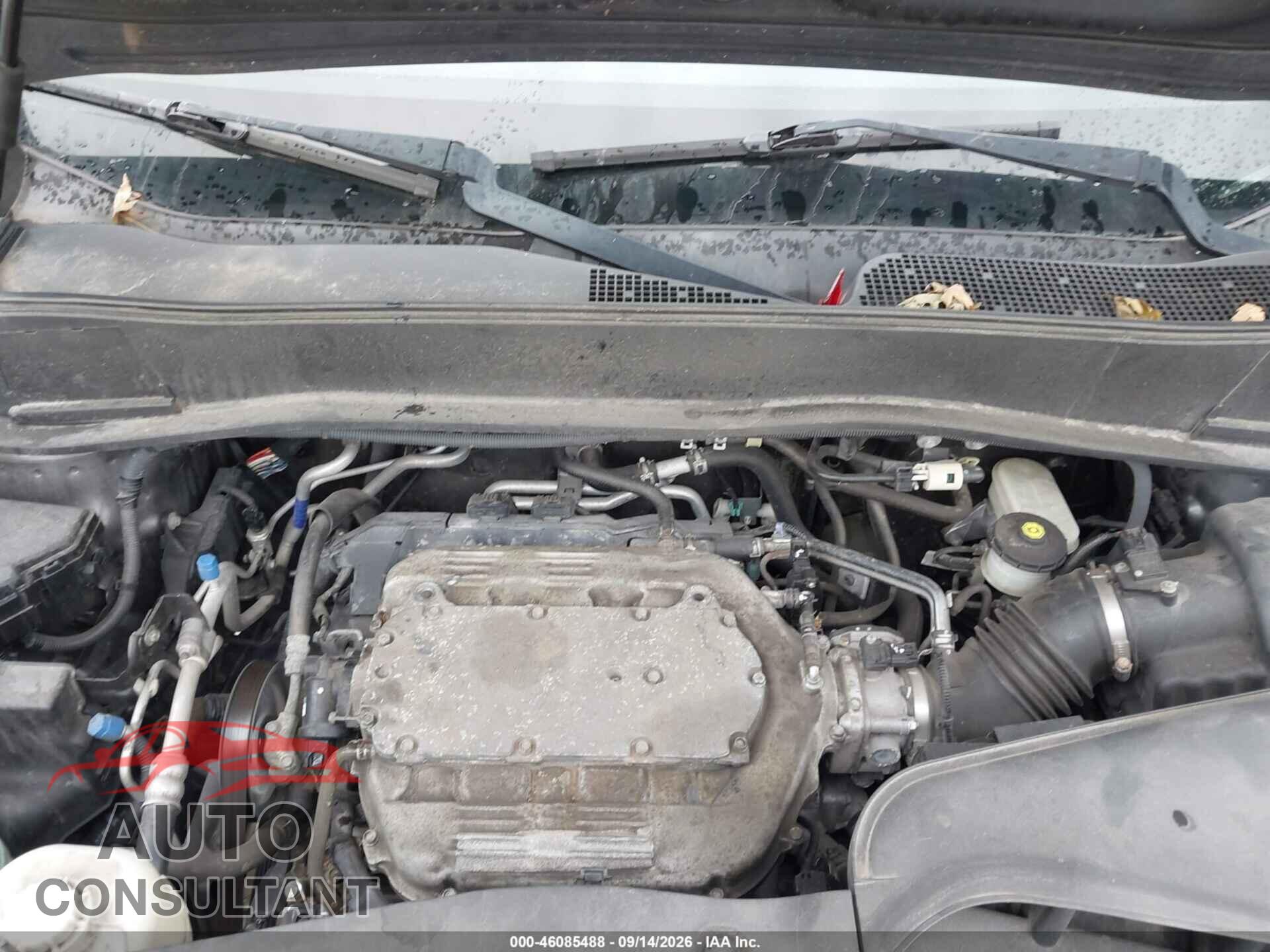 HONDA PILOT 2011 - 5FNYF4H98BB074640