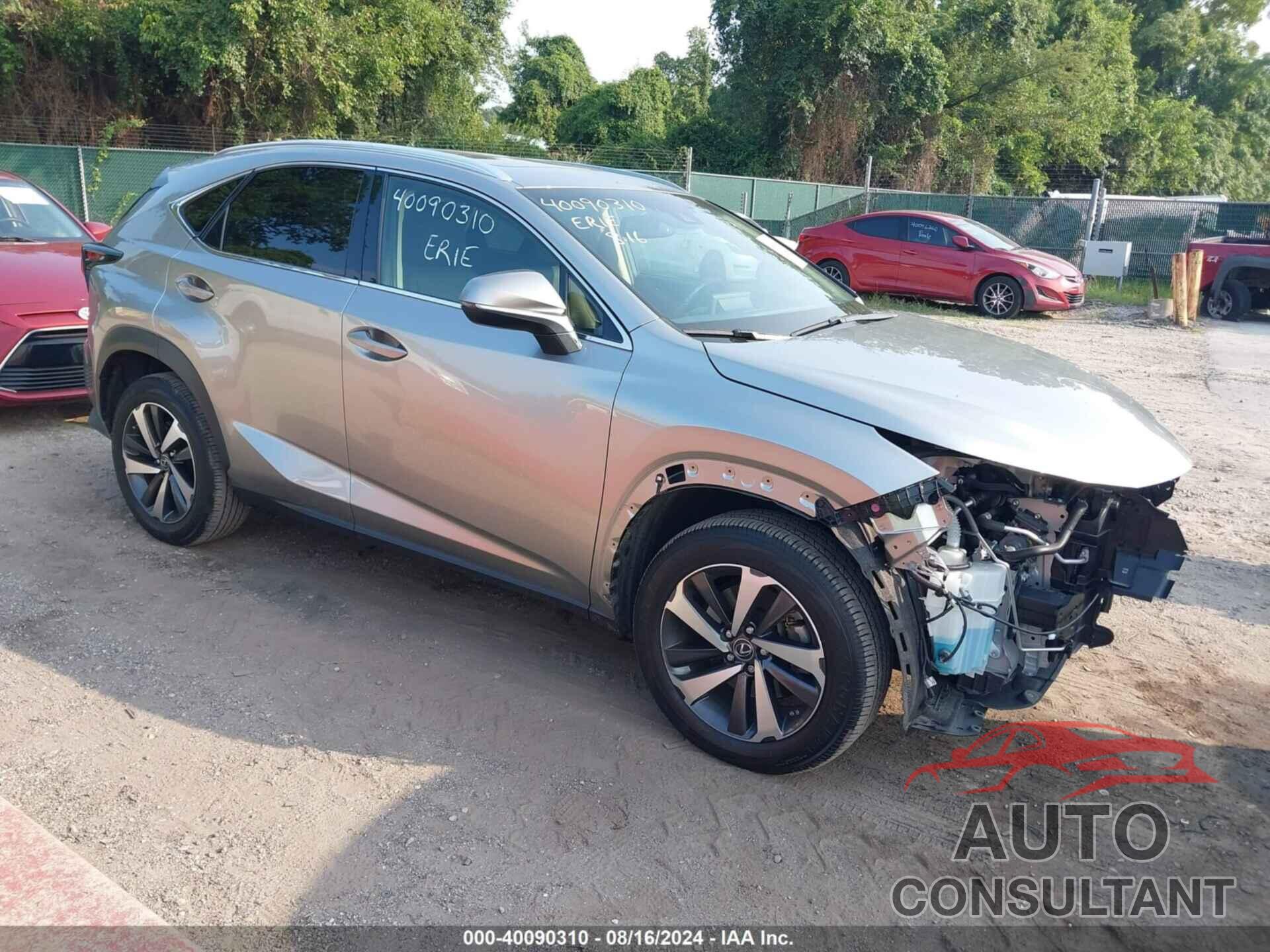 LEXUS NX 300 2019 - JTJBARBZ3K2203278