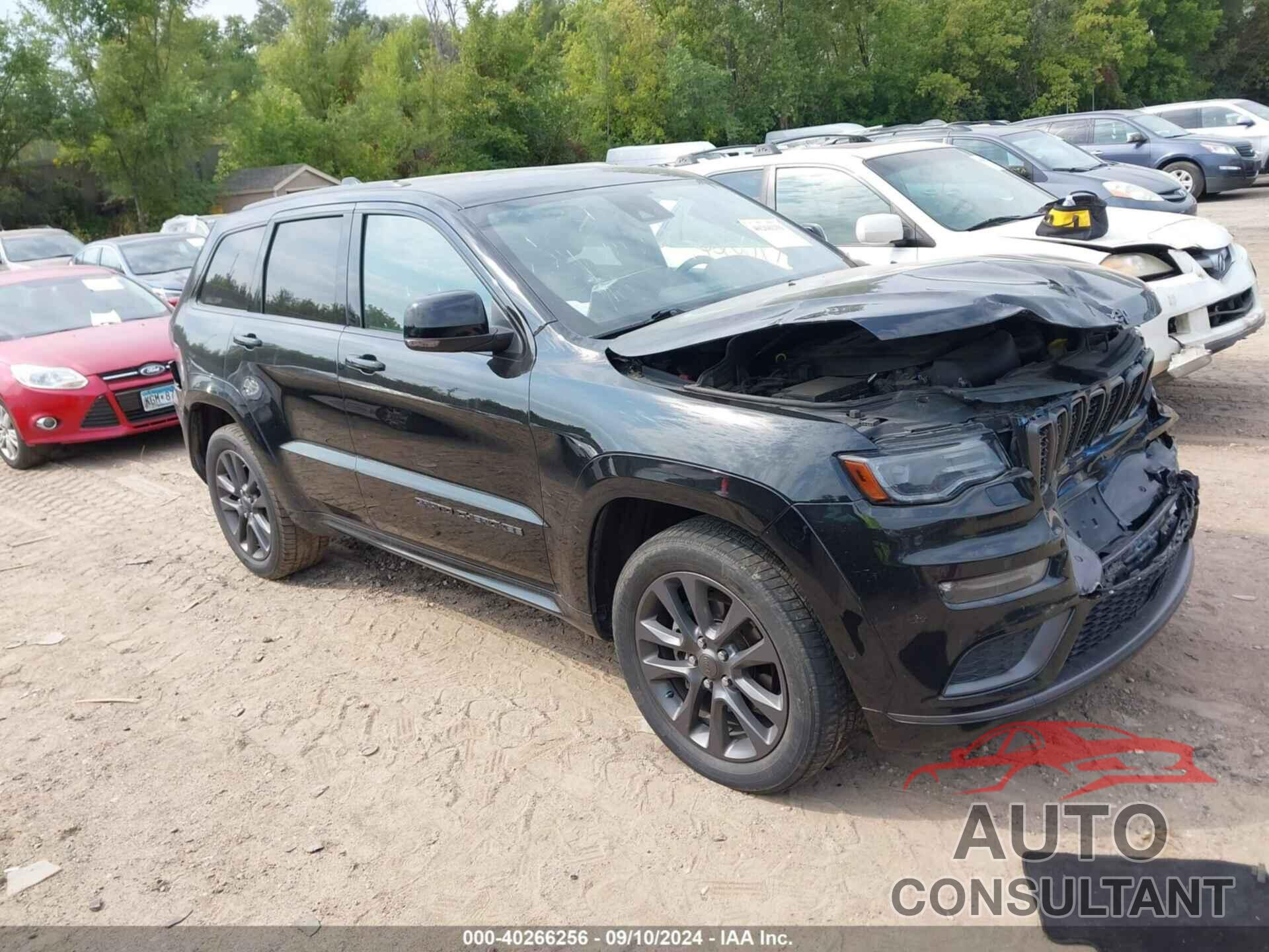 JEEP GRAND CHEROKEE 2019 - 1C4RJFCG9KC532851