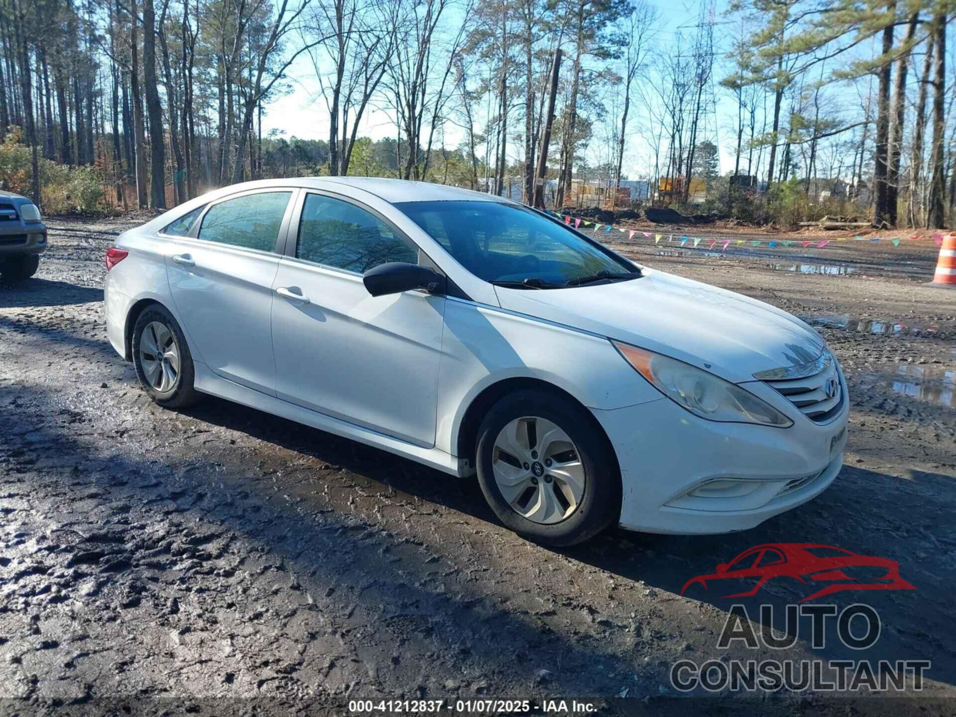 HYUNDAI SONATA 2014 - 5NPEB4AC9EH820460